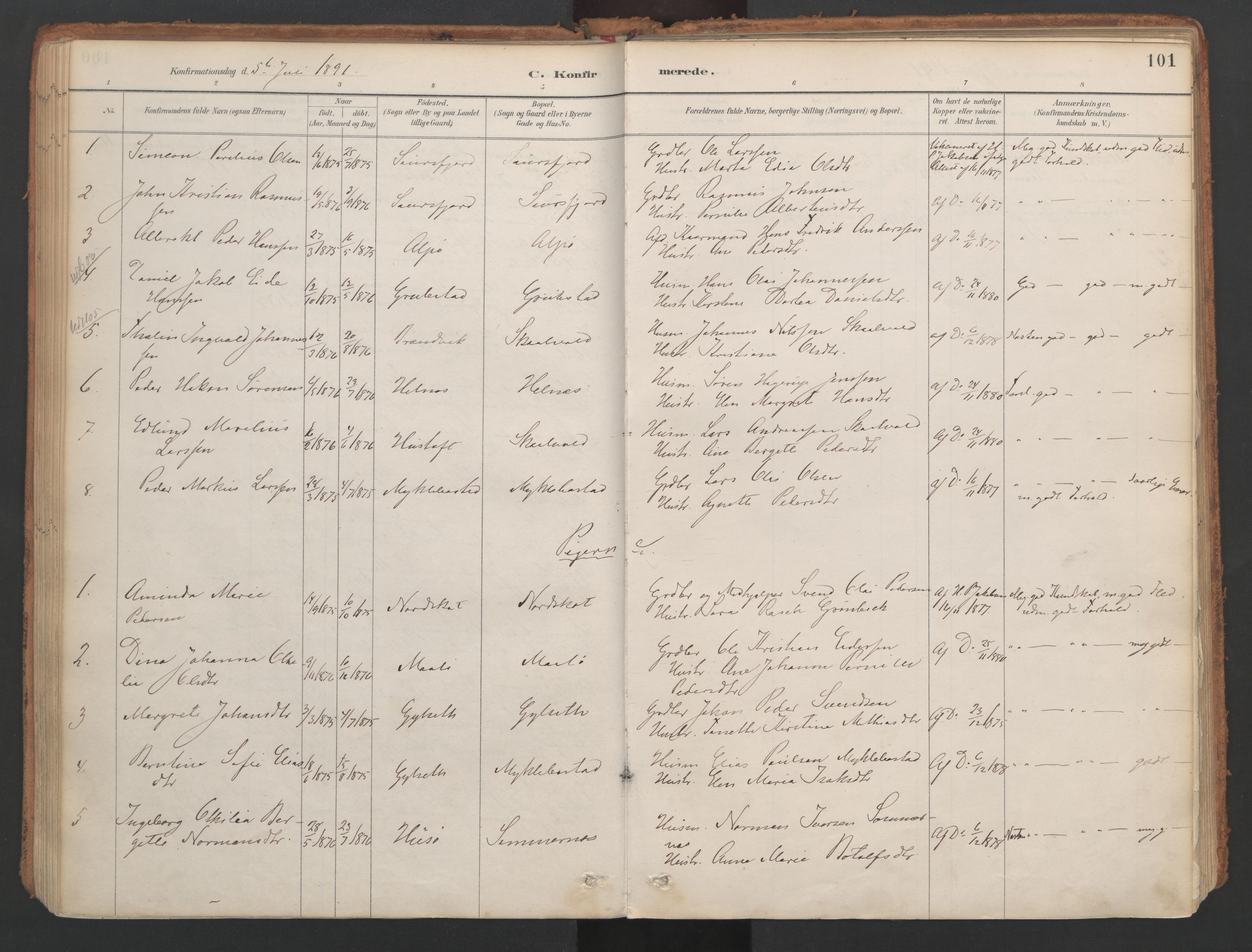 Ministerialprotokoller, klokkerbøker og fødselsregistre - Nordland, AV/SAT-A-1459/857/L0822: Parish register (official) no. 857A02, 1890-1917, p. 101