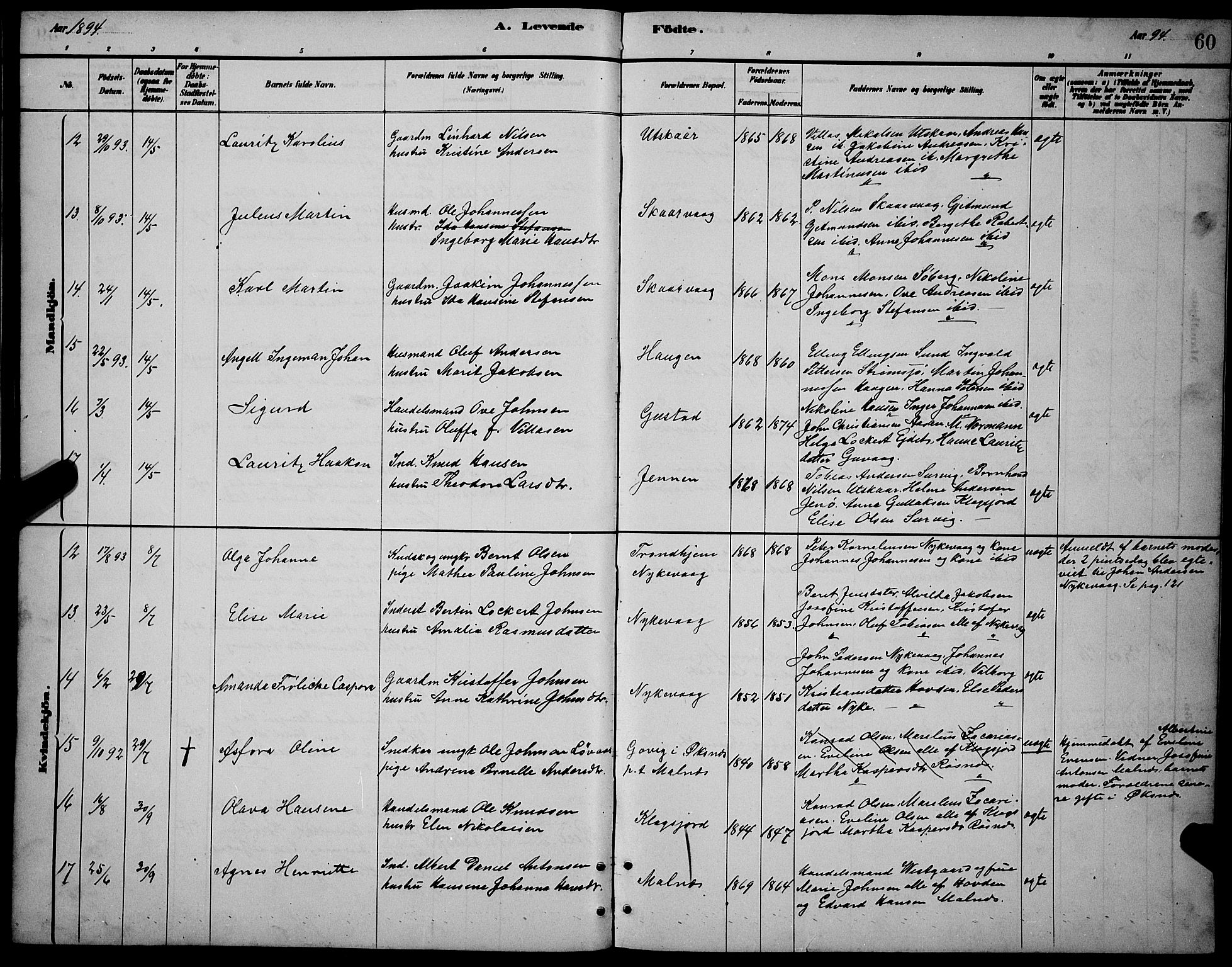 Ministerialprotokoller, klokkerbøker og fødselsregistre - Nordland, SAT/A-1459/892/L1325: Parish register (copy) no. 892C02, 1878-1896, p. 60