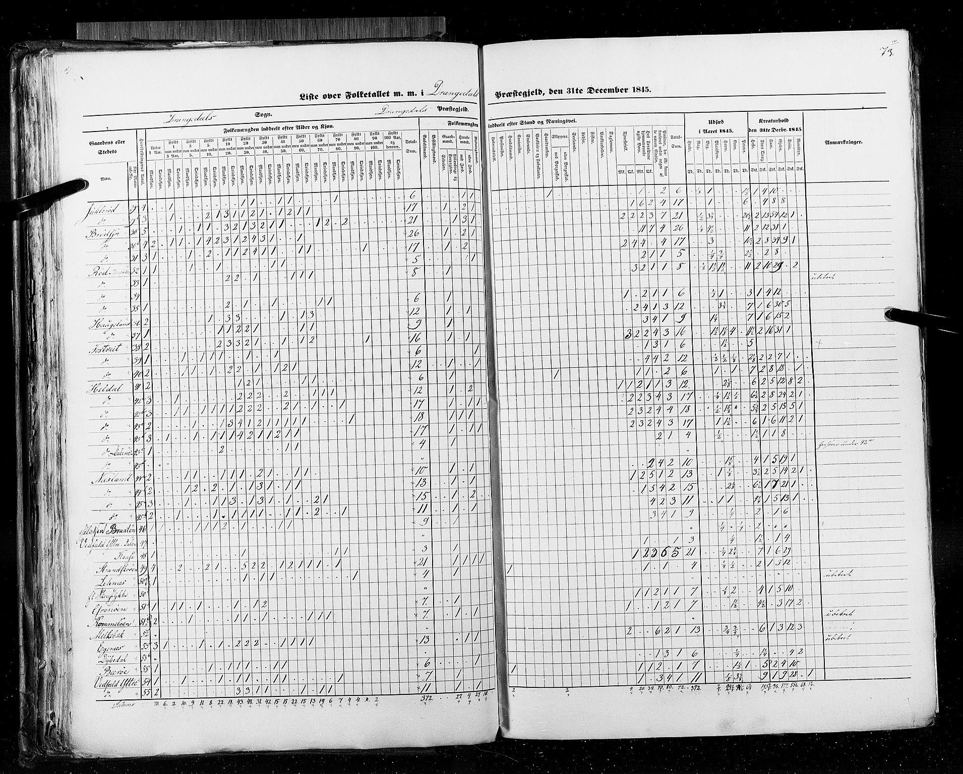 RA, Census 1845, vol. 5: Bratsberg amt og Nedenes og Råbyggelaget amt, 1845, p. 73