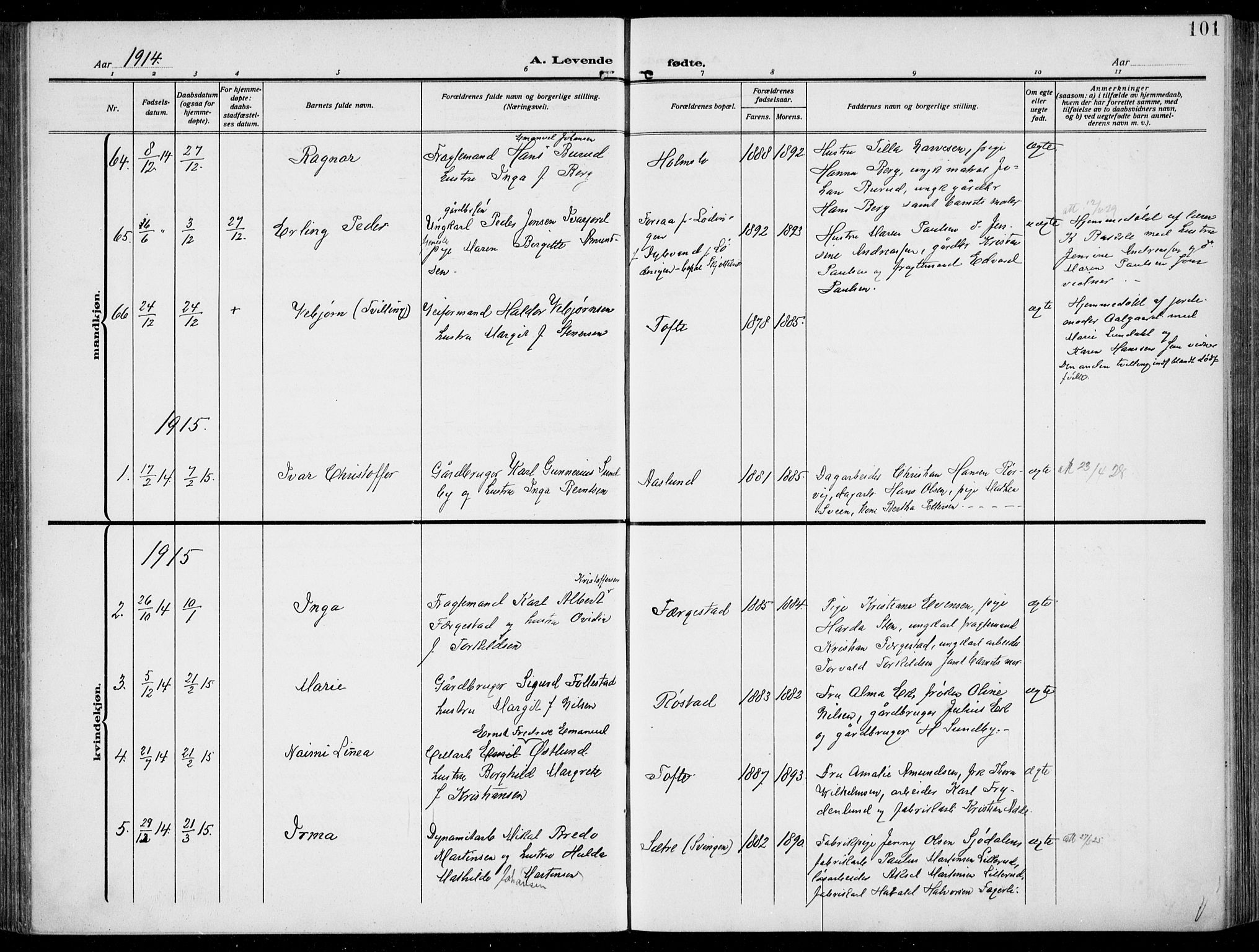 Hurum kirkebøker, AV/SAKO-A-229/F/Fa/L0016: Parish register (official) no. 16, 1899-1918, p. 101