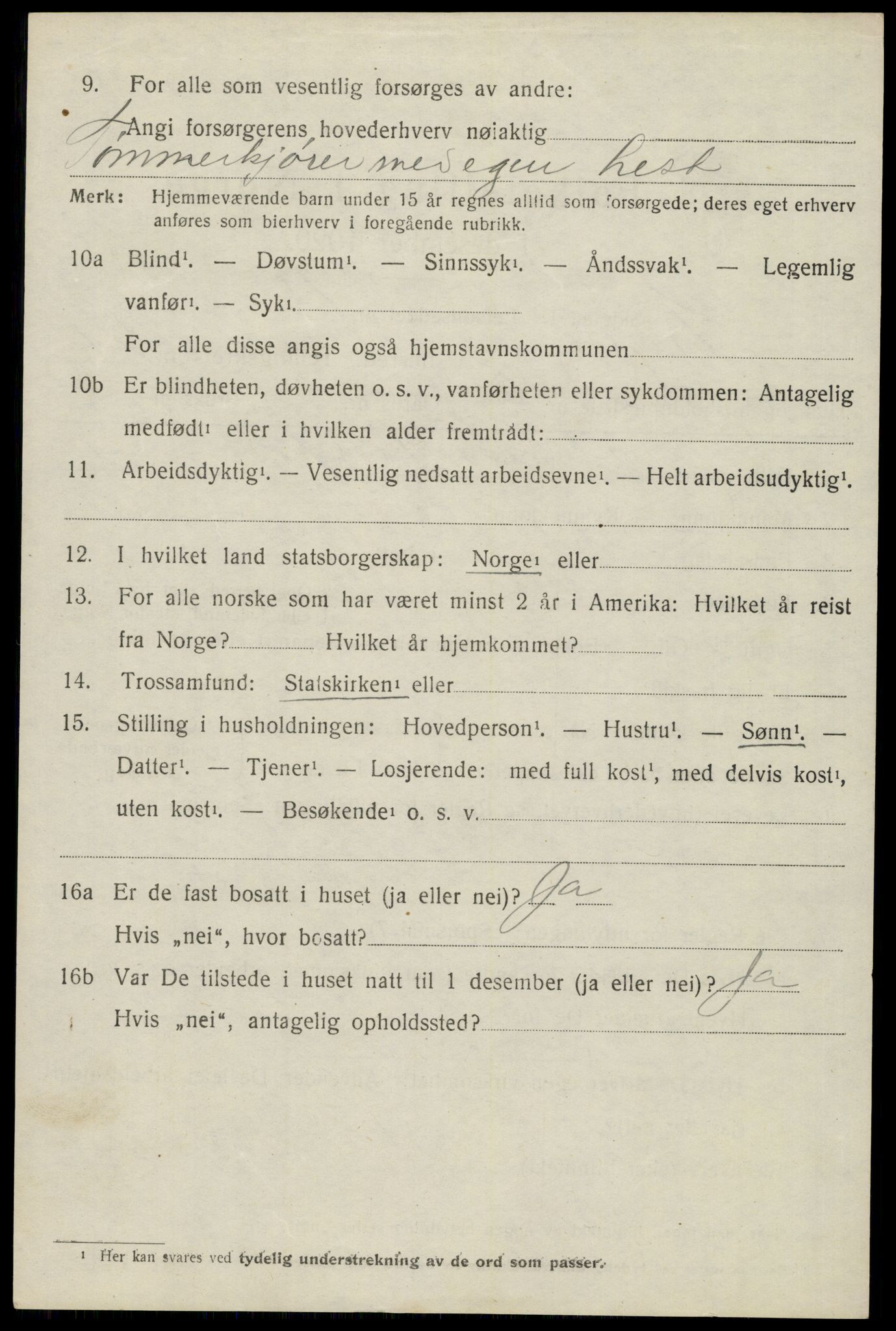 SAH, 1920 census for Trysil, 1920, p. 13791