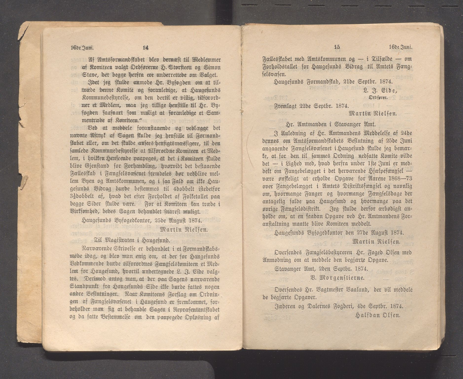 Rogaland fylkeskommune - Fylkesrådmannen , IKAR/A-900/A, 1874-1875, p. 226