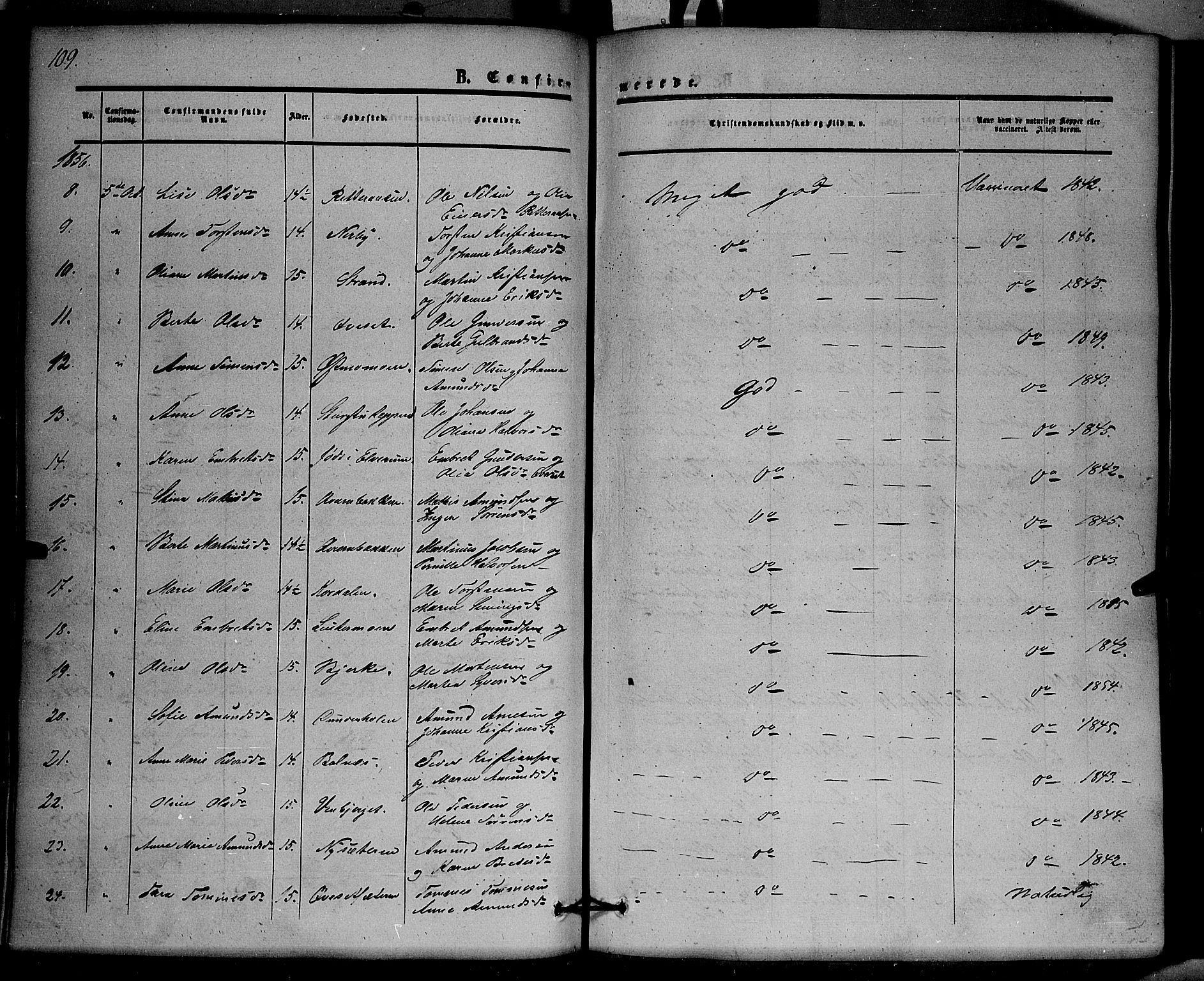 Hof prestekontor, SAH/PREST-038/H/Ha/Haa/L0008: Parish register (official) no. 8, 1849-1861, p. 109