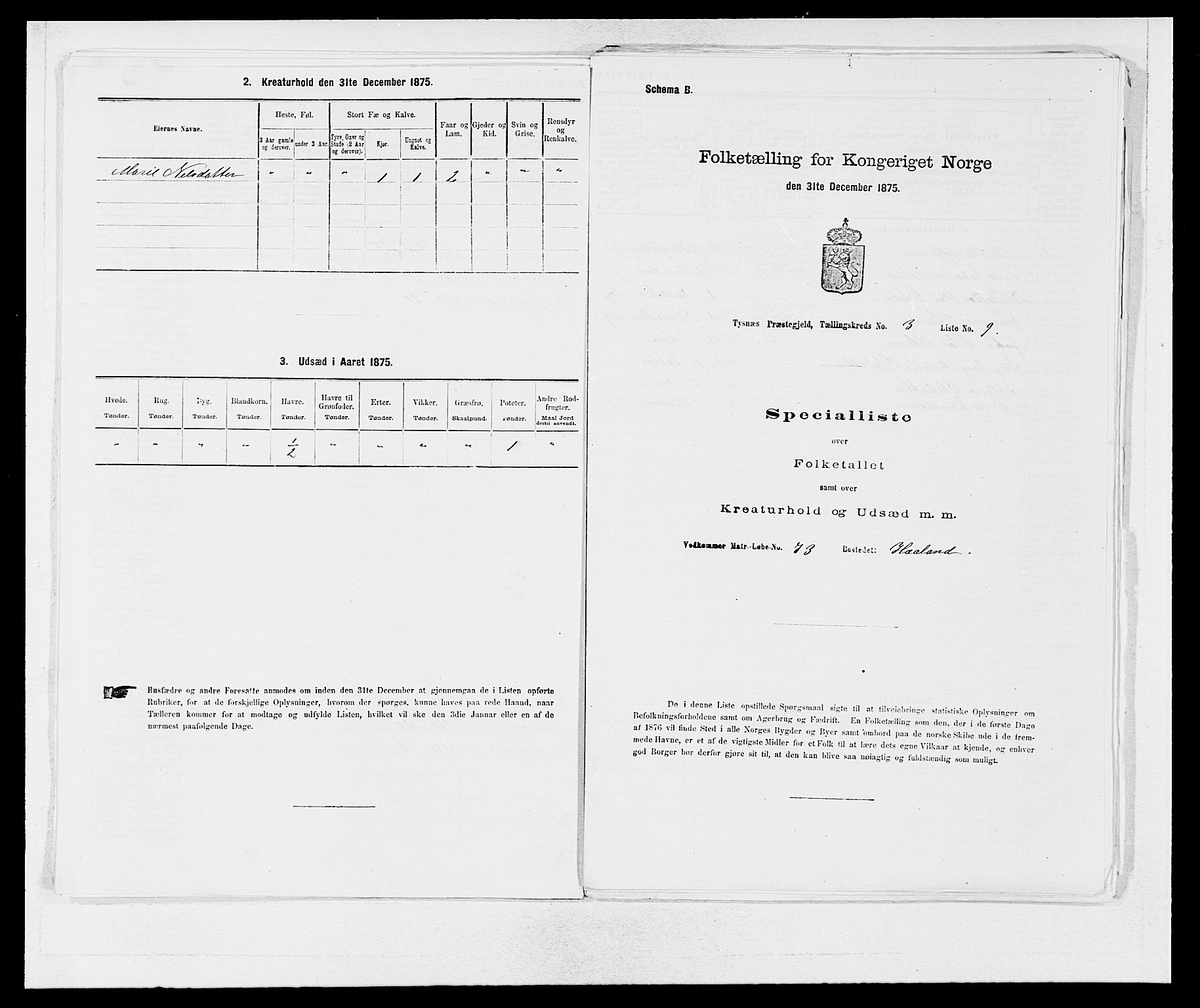 SAB, 1875 census for 1223P Tysnes, 1875, p. 236