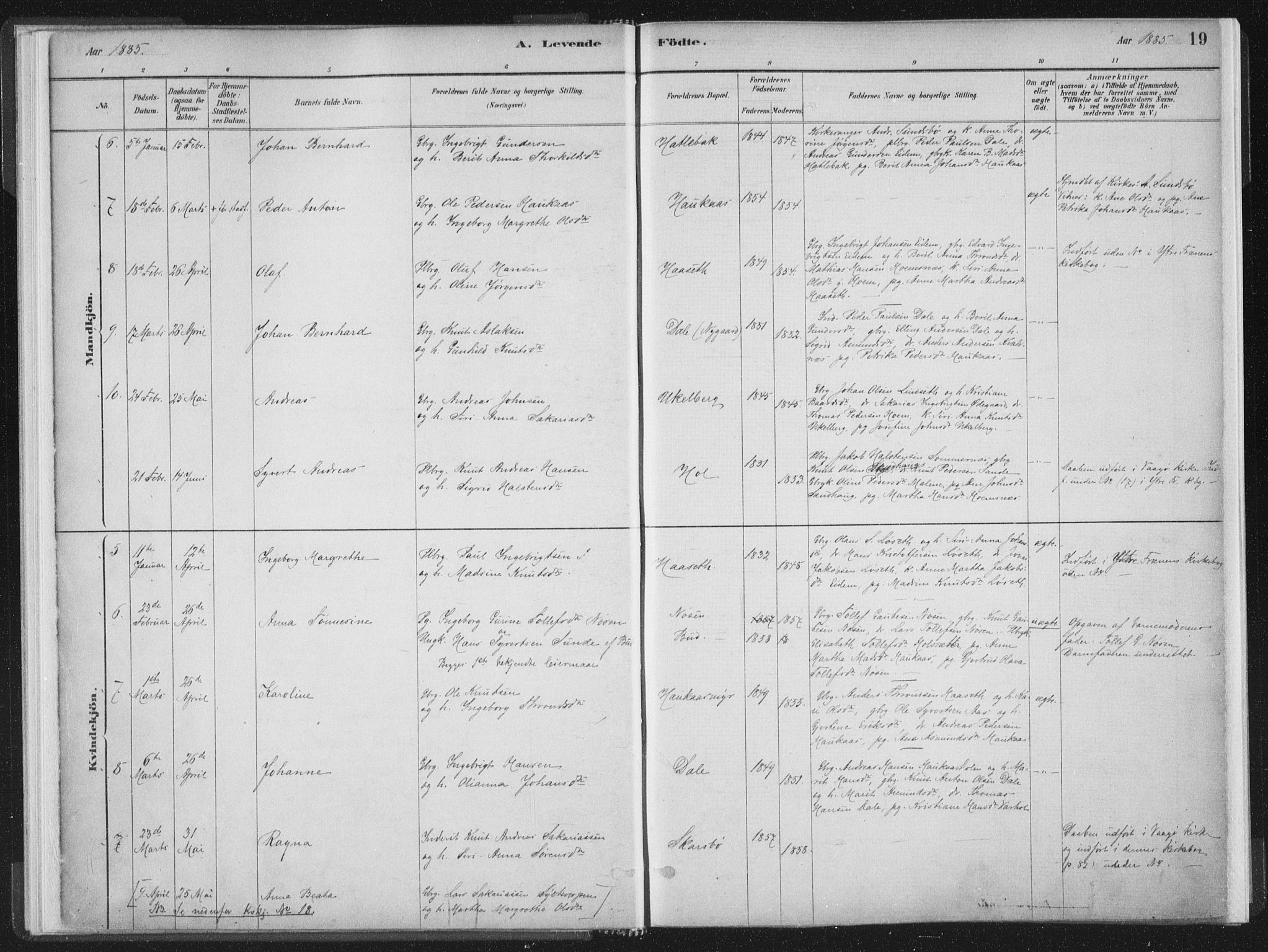 Ministerialprotokoller, klokkerbøker og fødselsregistre - Møre og Romsdal, AV/SAT-A-1454/564/L0740: Parish register (official) no. 564A01, 1880-1899, p. 19