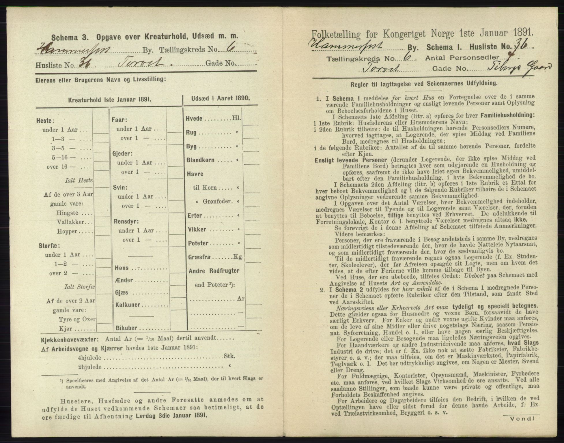 RA, 1891 census for 2001 Hammerfest, 1891, p. 1702