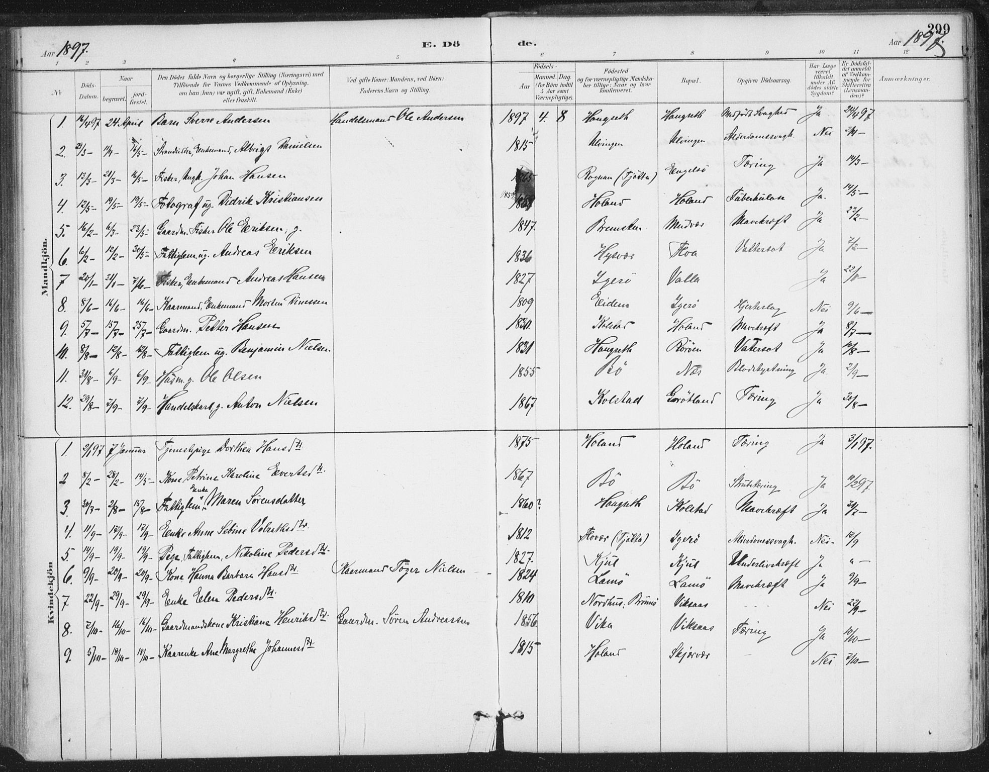 Ministerialprotokoller, klokkerbøker og fødselsregistre - Nordland, AV/SAT-A-1459/816/L0244: Parish register (official) no. 816A10, 1886-1903, p. 299