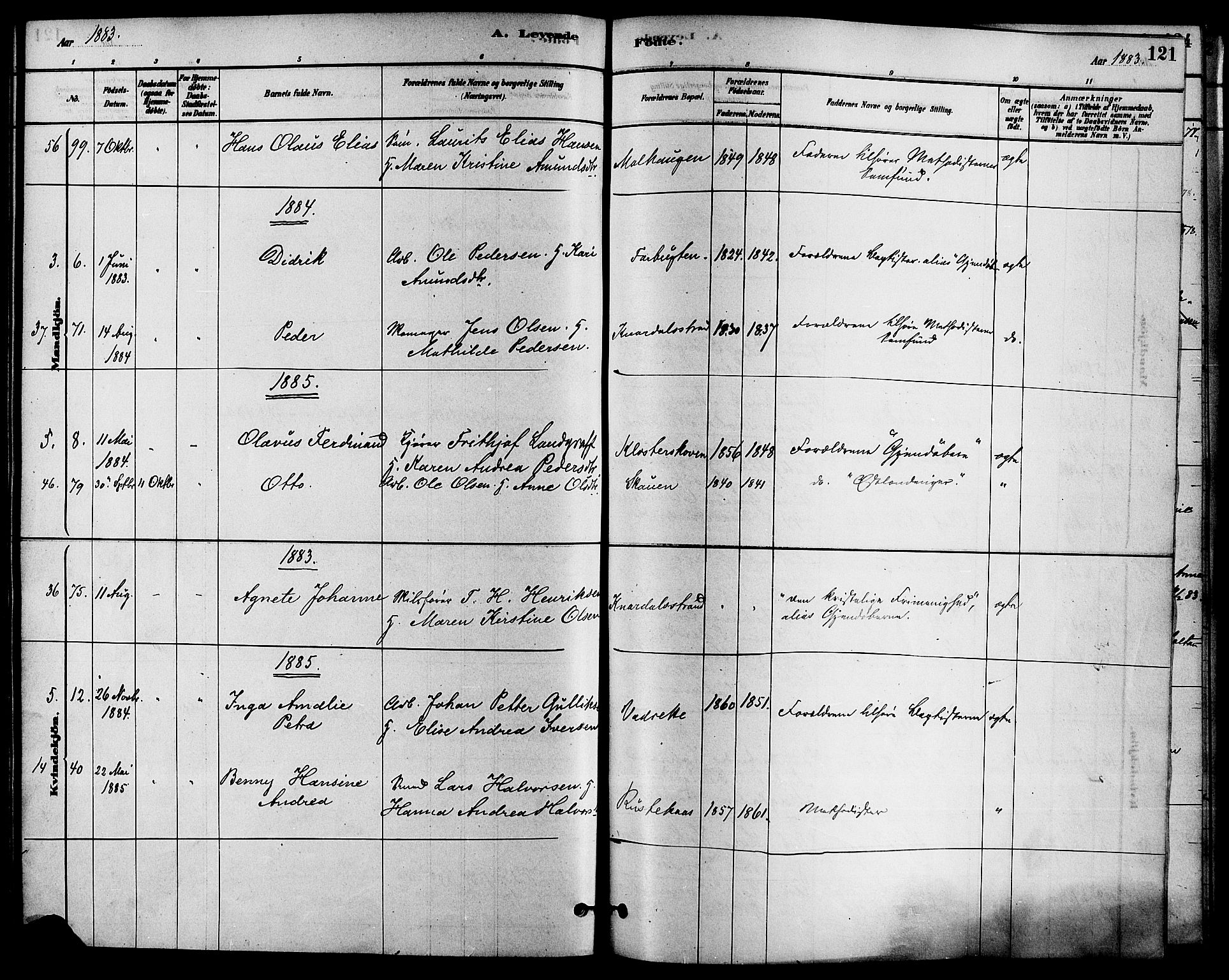 Solum kirkebøker, SAKO/A-306/F/Fa/L0009: Parish register (official) no. I 9, 1877-1887, p. 121