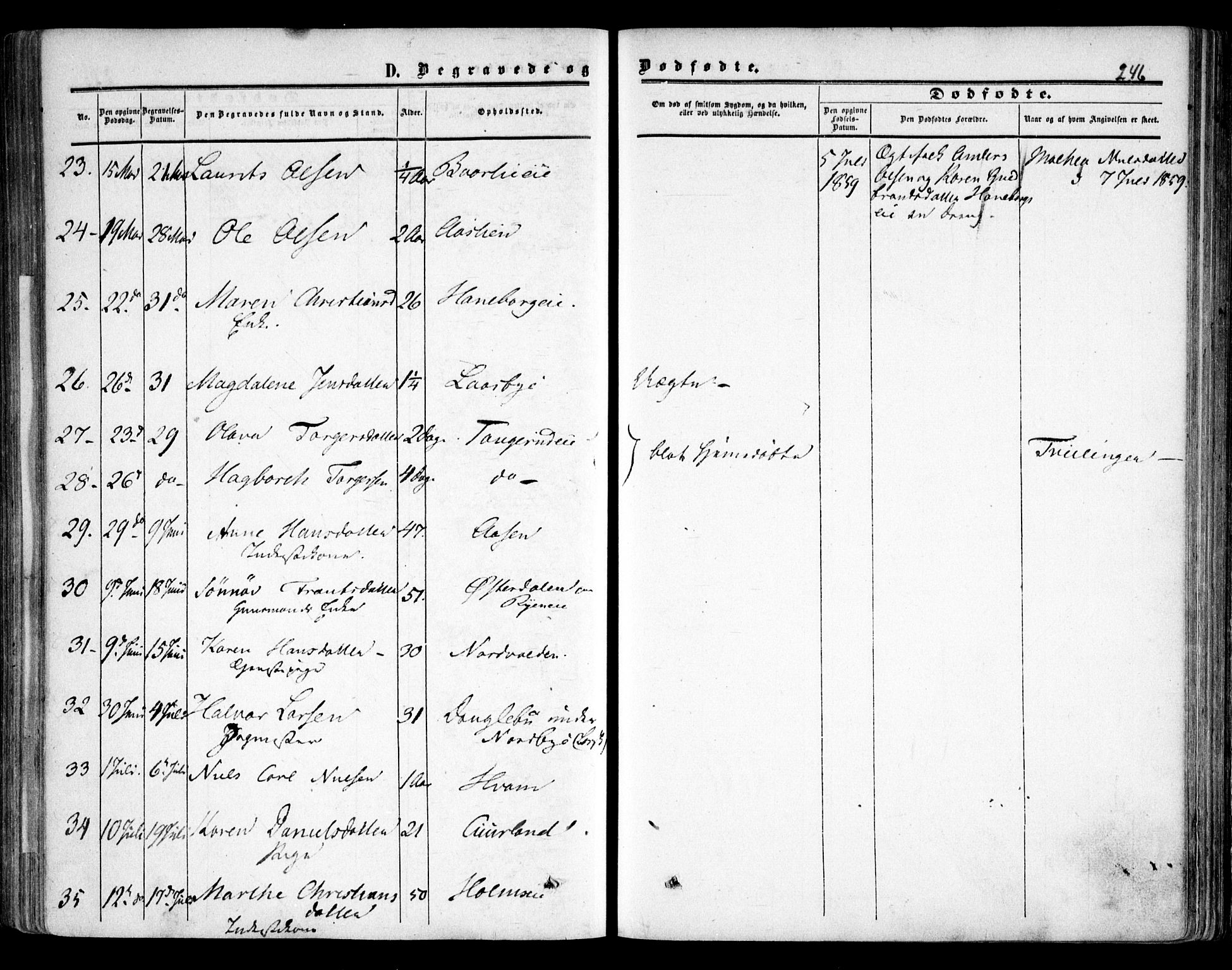 Skedsmo prestekontor Kirkebøker, AV/SAO-A-10033a/F/Fa/L0010: Parish register (official) no. I 10, 1854-1865, p. 246