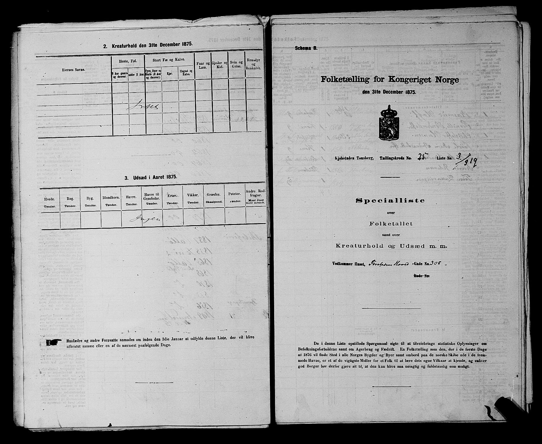 SAKO, 1875 census for 0705P Tønsberg, 1875, p. 780