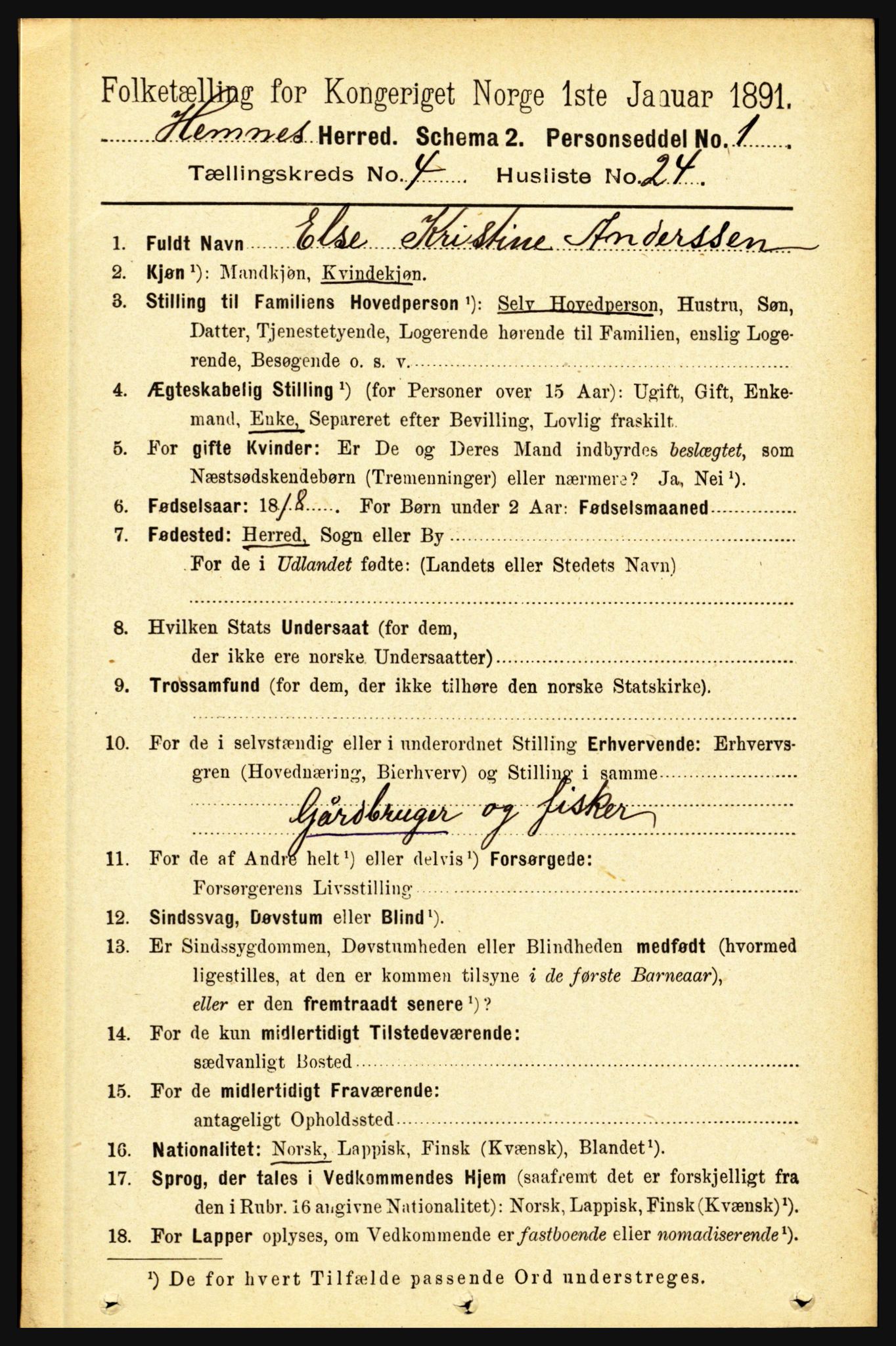 RA, 1891 census for 1832 Hemnes, 1891, p. 2393