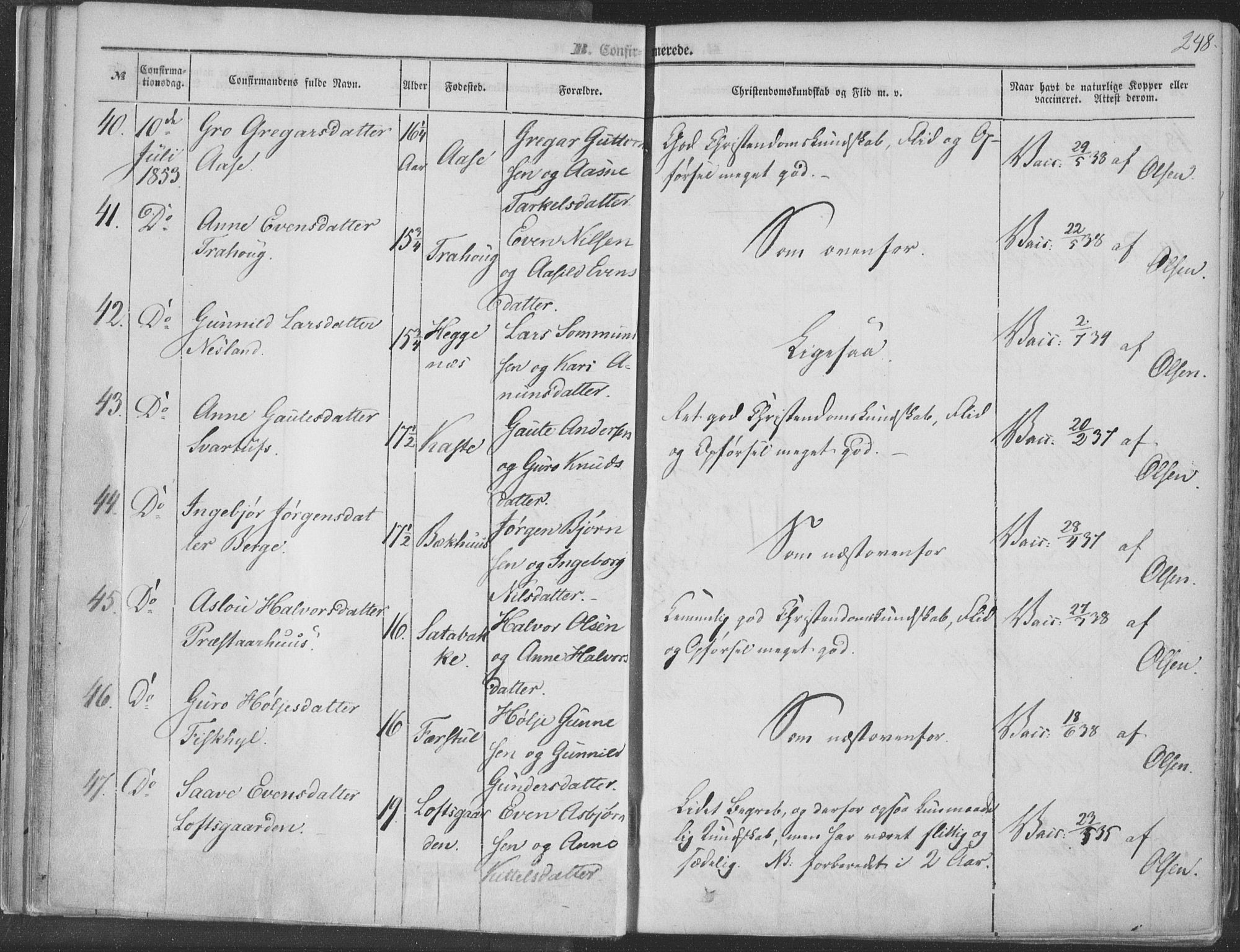 Seljord kirkebøker, AV/SAKO-A-20/F/Fa/L012b: Parish register (official) no. I 12B, 1850-1865, p. 248