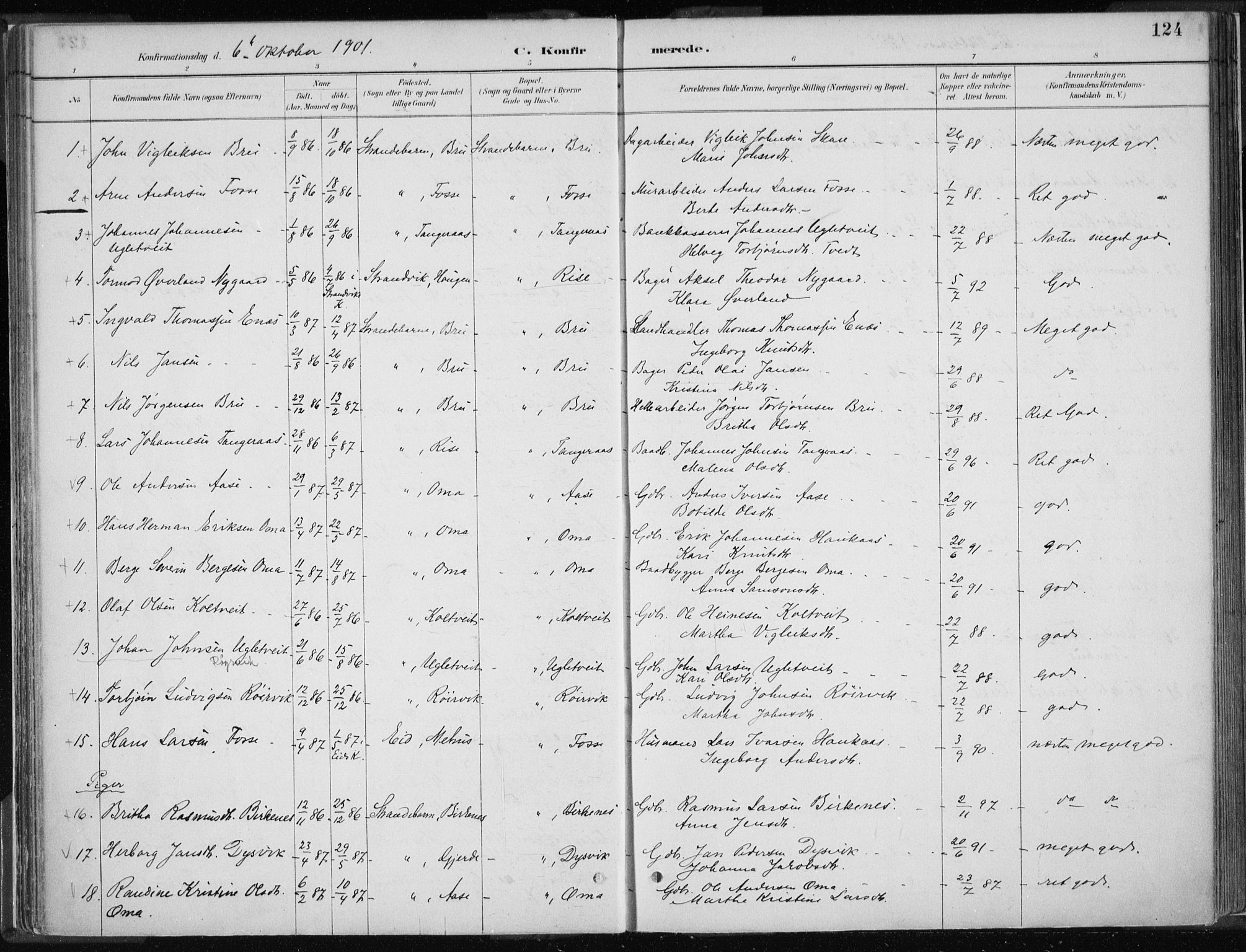 Strandebarm sokneprestembete, AV/SAB-A-78401/H/Haa: Parish register (official) no. B  1, 1886-1908, p. 124