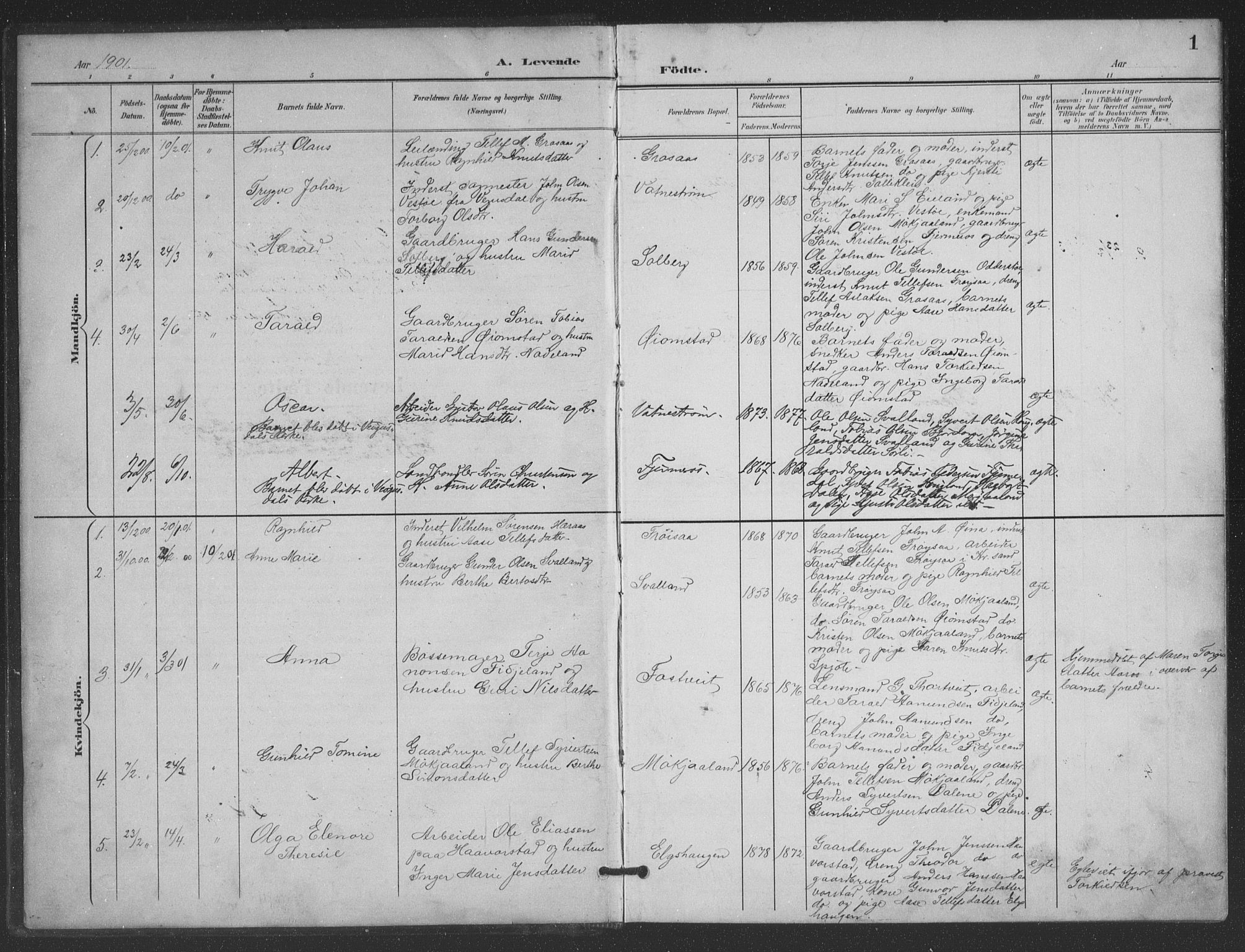 Evje sokneprestkontor, SAK/1111-0008/F/Fb/Fbc/L0005: Parish register (copy) no. B 5, 1901-1935, p. 1