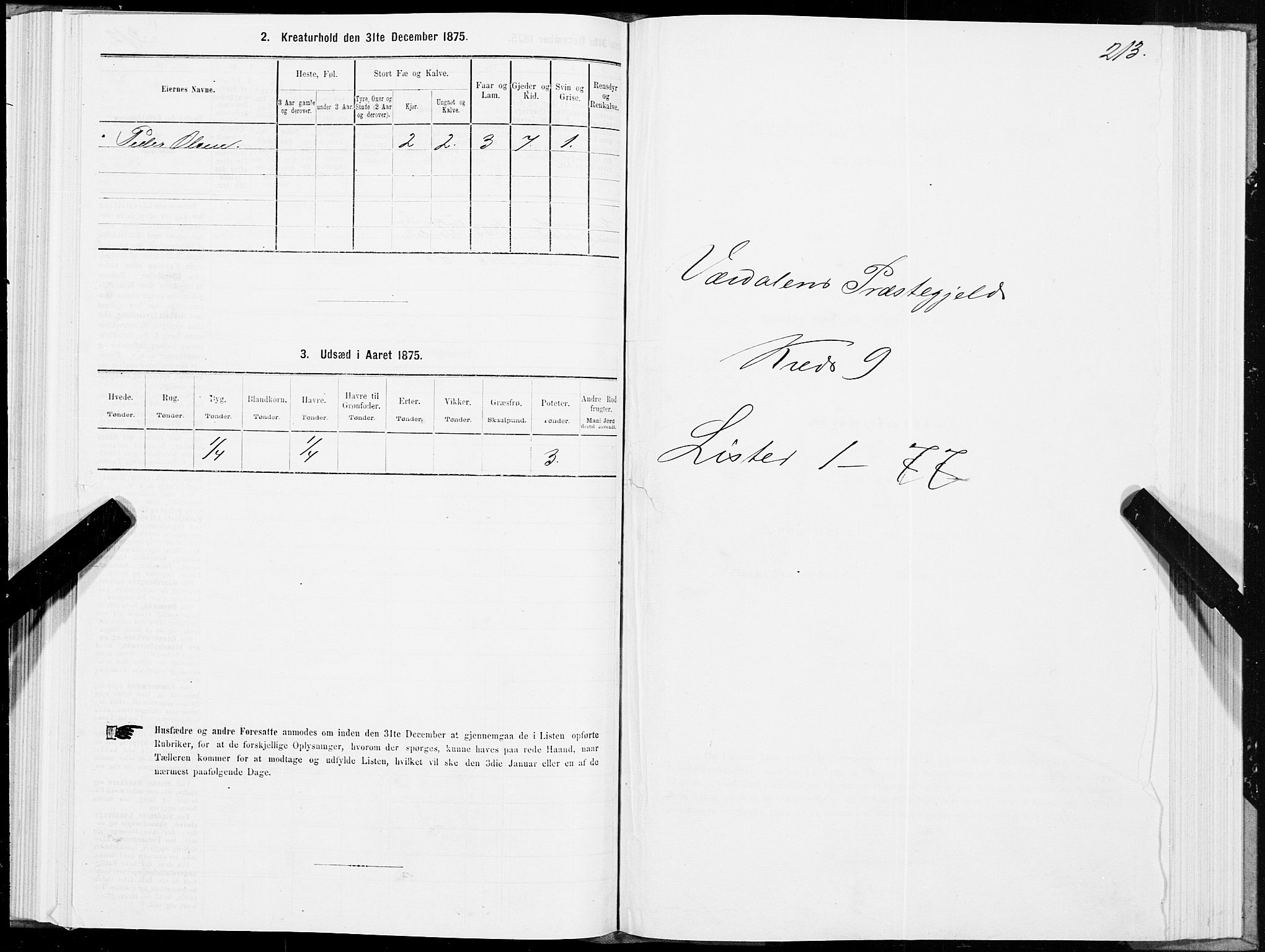 SAT, 1875 census for 1721P Verdal, 1875, p. 5213