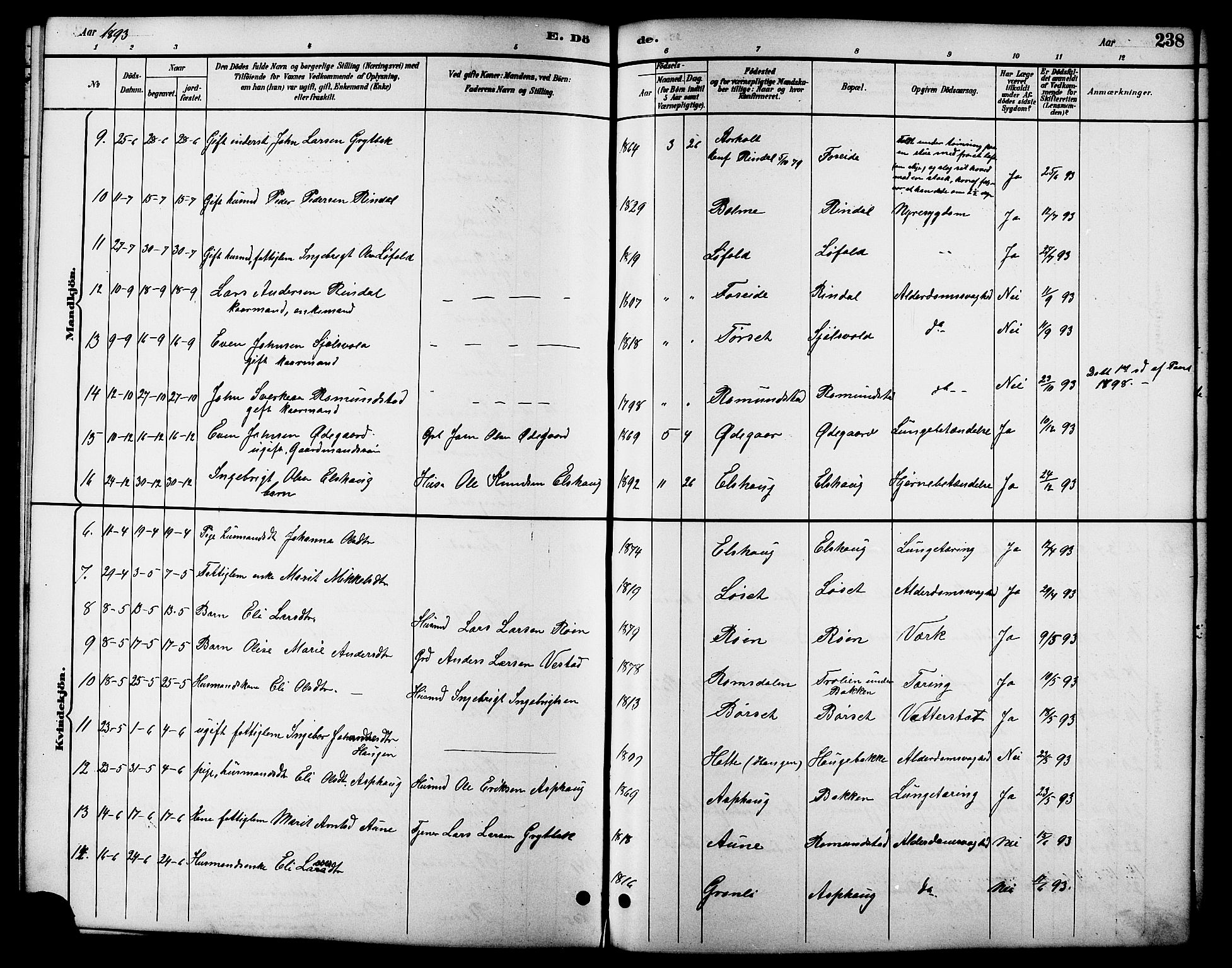 Ministerialprotokoller, klokkerbøker og fødselsregistre - Møre og Romsdal, AV/SAT-A-1454/598/L1078: Parish register (copy) no. 598C03, 1892-1909, p. 238