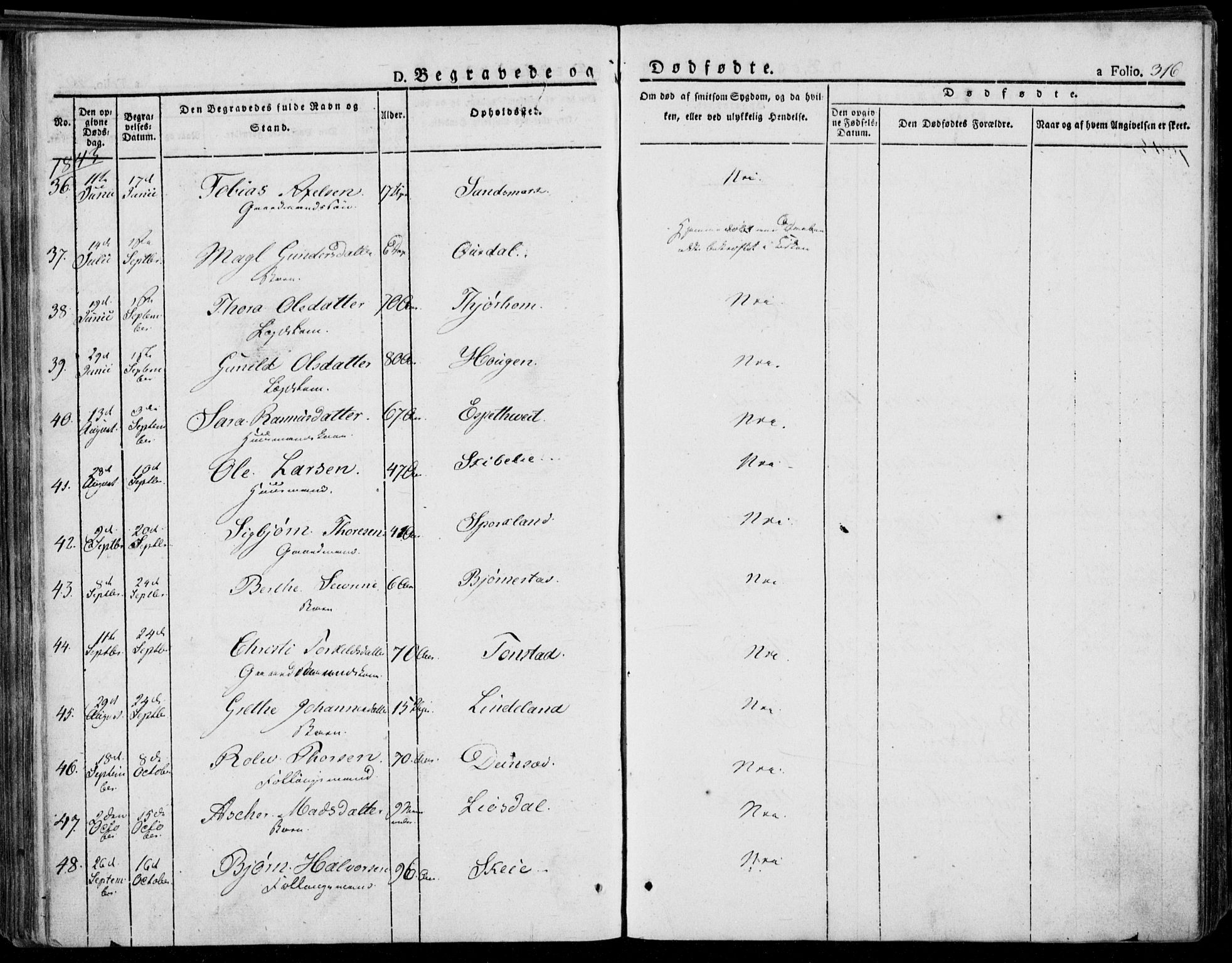 Bakke sokneprestkontor, AV/SAK-1111-0002/F/Fa/Faa/L0004: Parish register (official) no. A 4, 1834-1846, p. 316