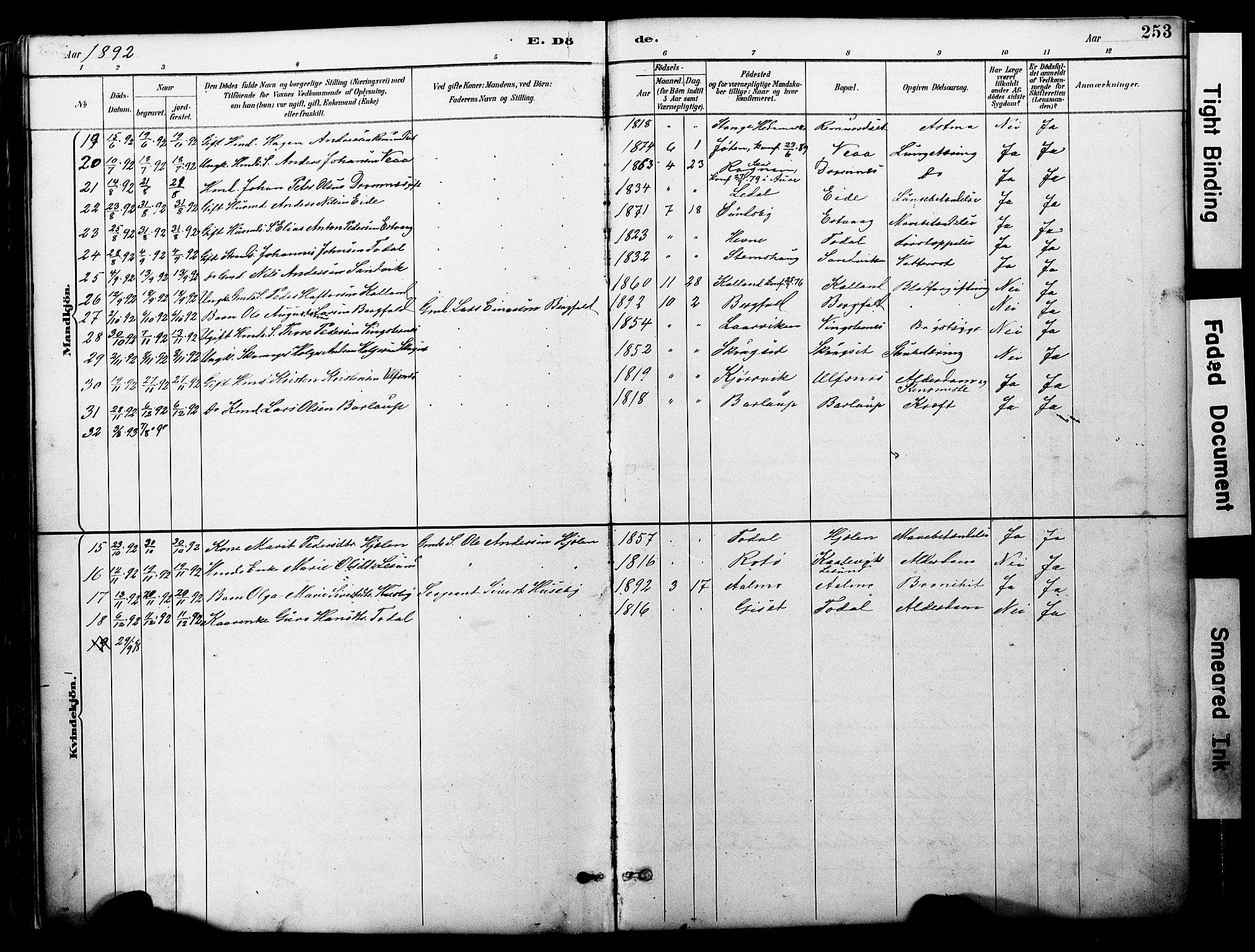 Ministerialprotokoller, klokkerbøker og fødselsregistre - Møre og Romsdal, AV/SAT-A-1454/578/L0907: Parish register (official) no. 578A06, 1887-1904, p. 253