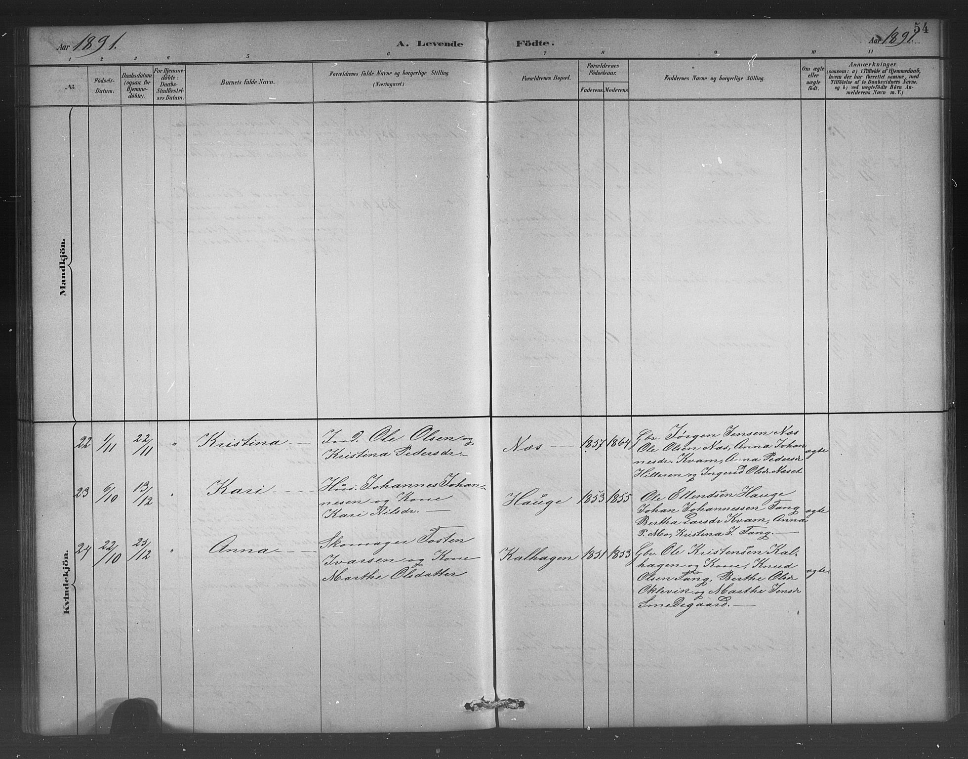 Hafslo sokneprestembete, AV/SAB-A-80301/H/Hab/Habb/L0001: Parish register (copy) no. B 1, 1882-1908, p. 54