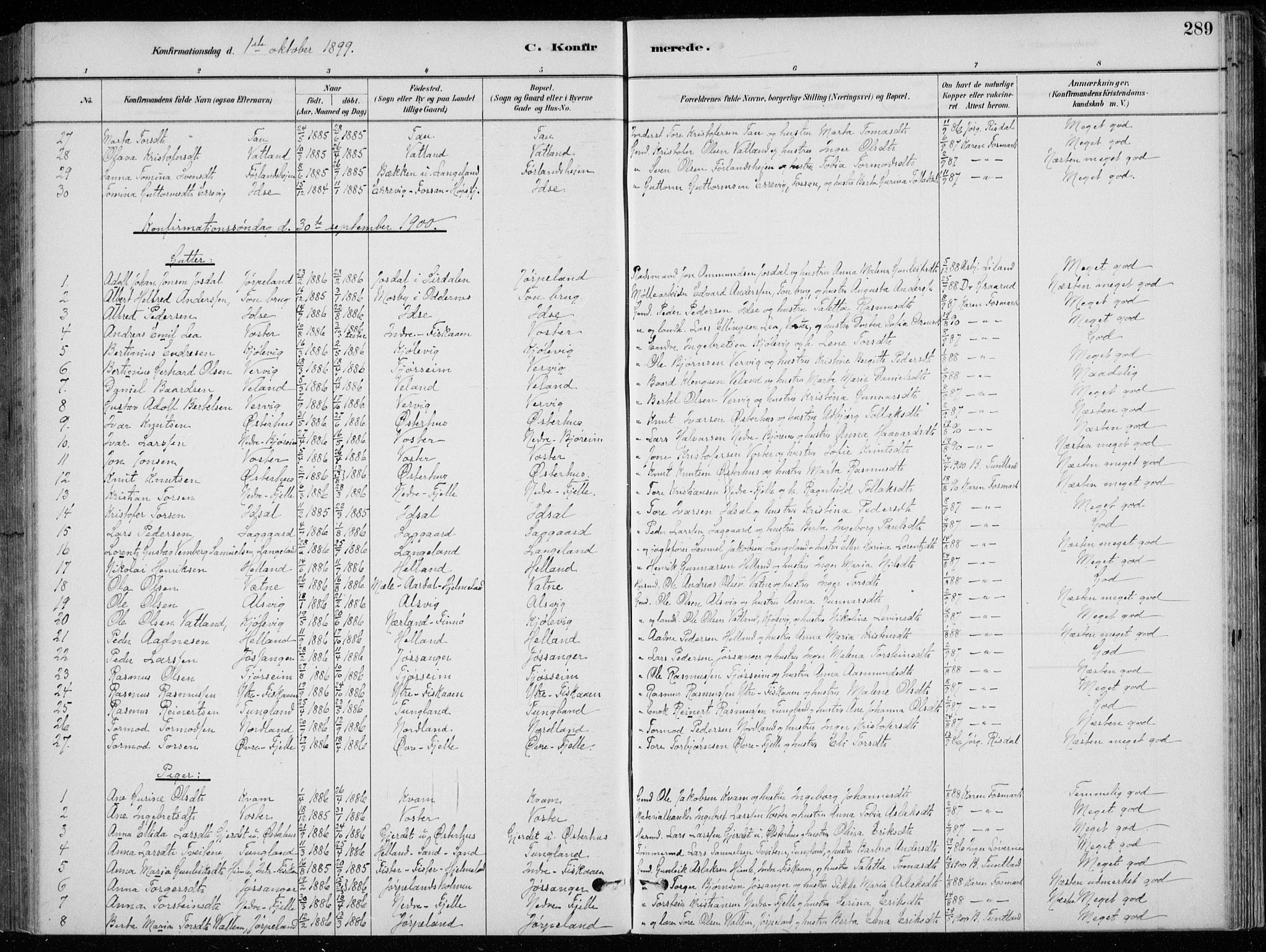 Strand sokneprestkontor, SAST/A-101828/H/Ha/Hab/L0004: Parish register (copy) no. B 4, 1878-1903, p. 289