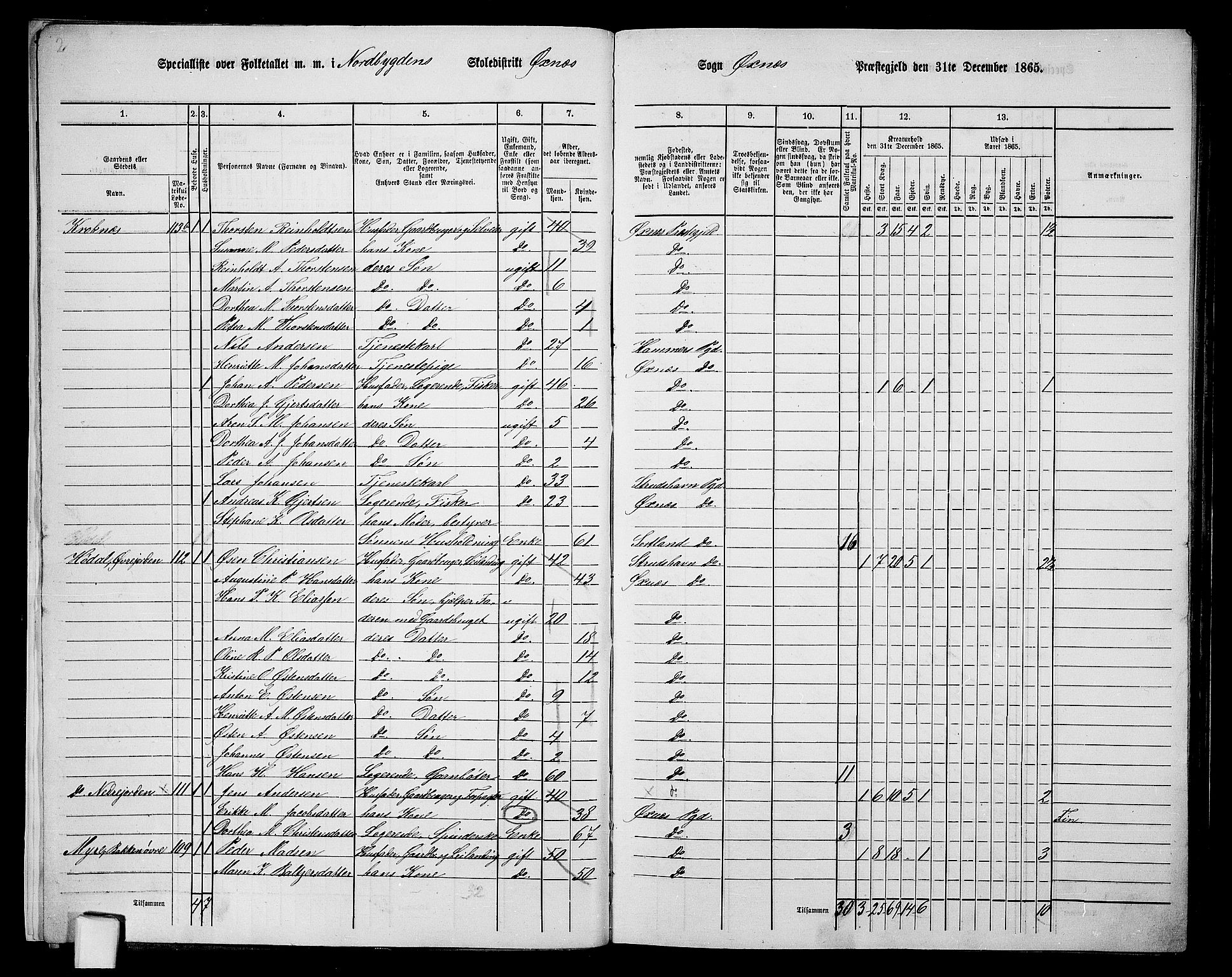 RA, 1865 census for Øksnes, 1865, p. 13