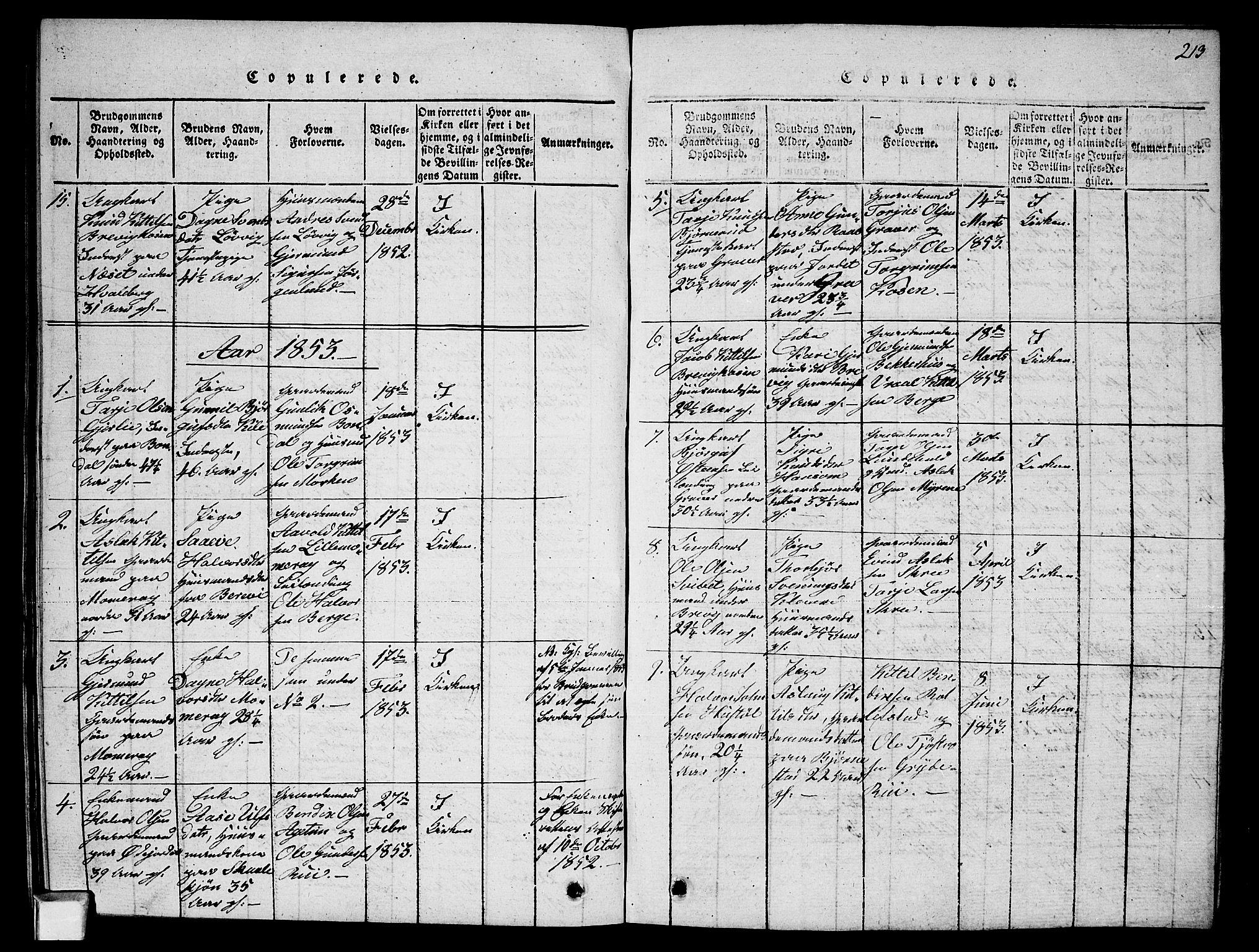 Fyresdal kirkebøker, SAKO/A-263/G/Ga/L0002: Parish register (copy) no. I 2, 1815-1857, p. 213