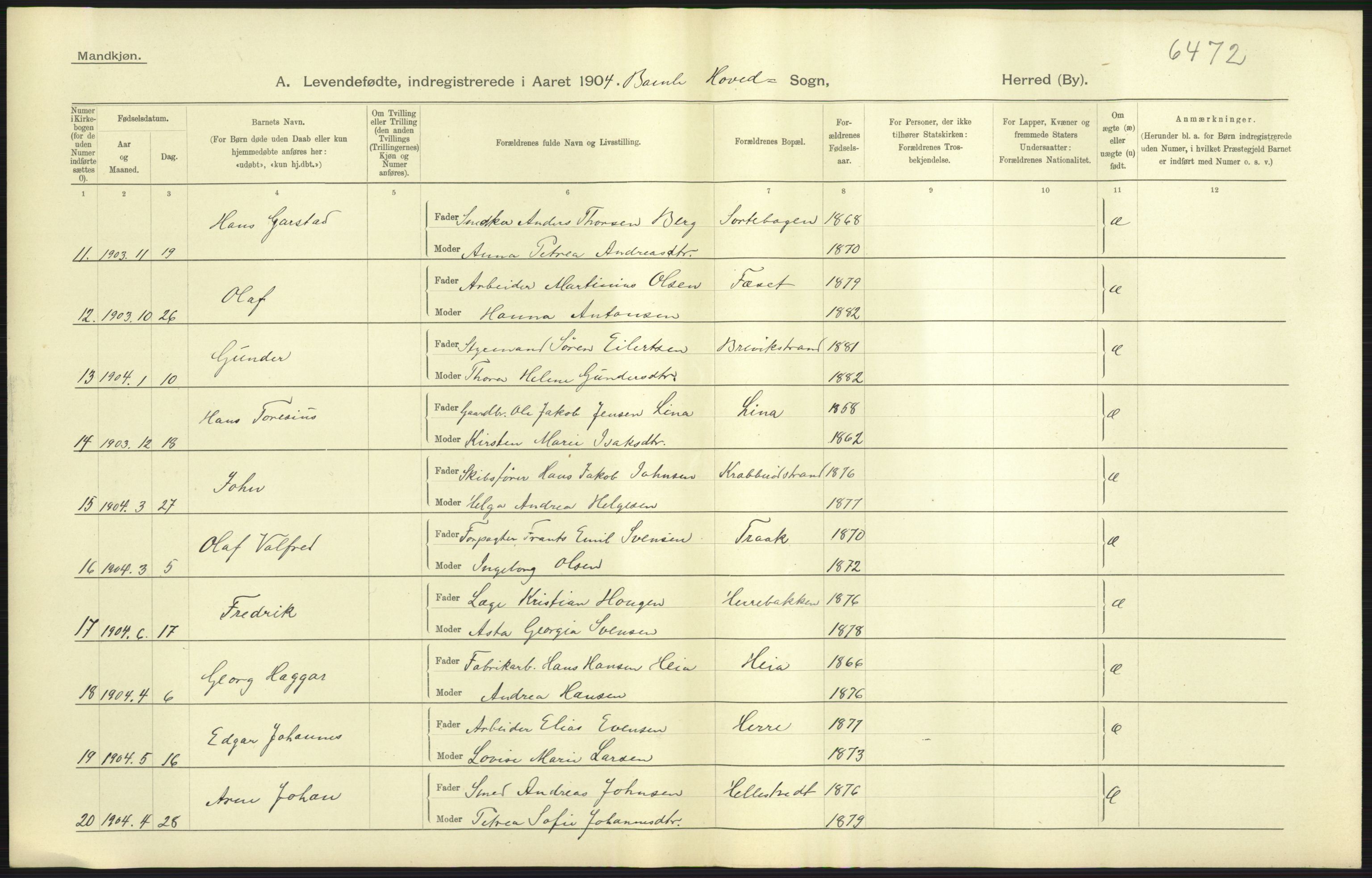 Statistisk sentralbyrå, Sosiodemografiske emner, Befolkning, AV/RA-S-2228/D/Df/Dfa/Dfab/L0009: Bratsberg amt: Fødte, gifte, døde, 1904, p. 45