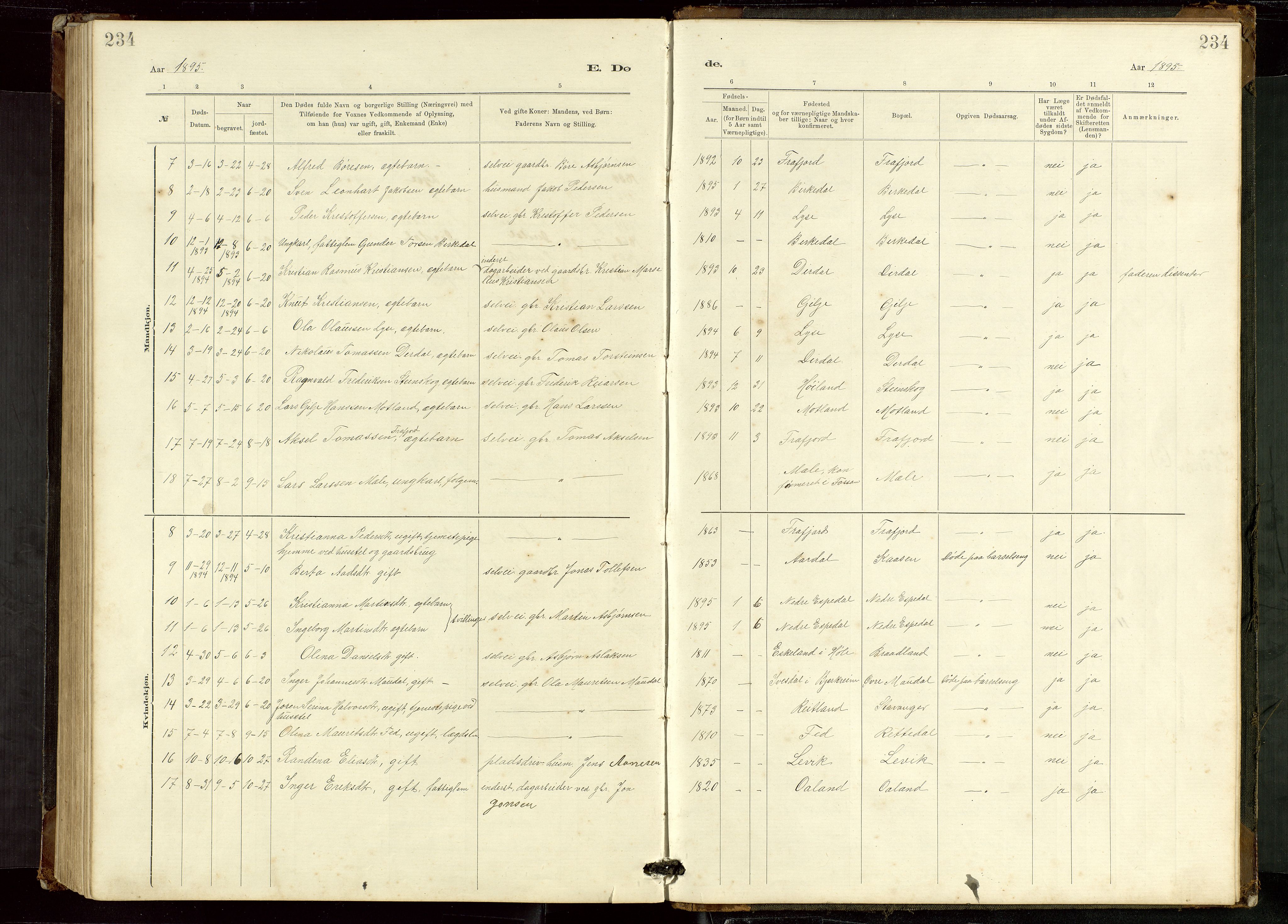 Høgsfjord sokneprestkontor, AV/SAST-A-101624/H/Ha/Hab/L0009: Parish register (copy) no. B 9, 1883-1920, p. 234