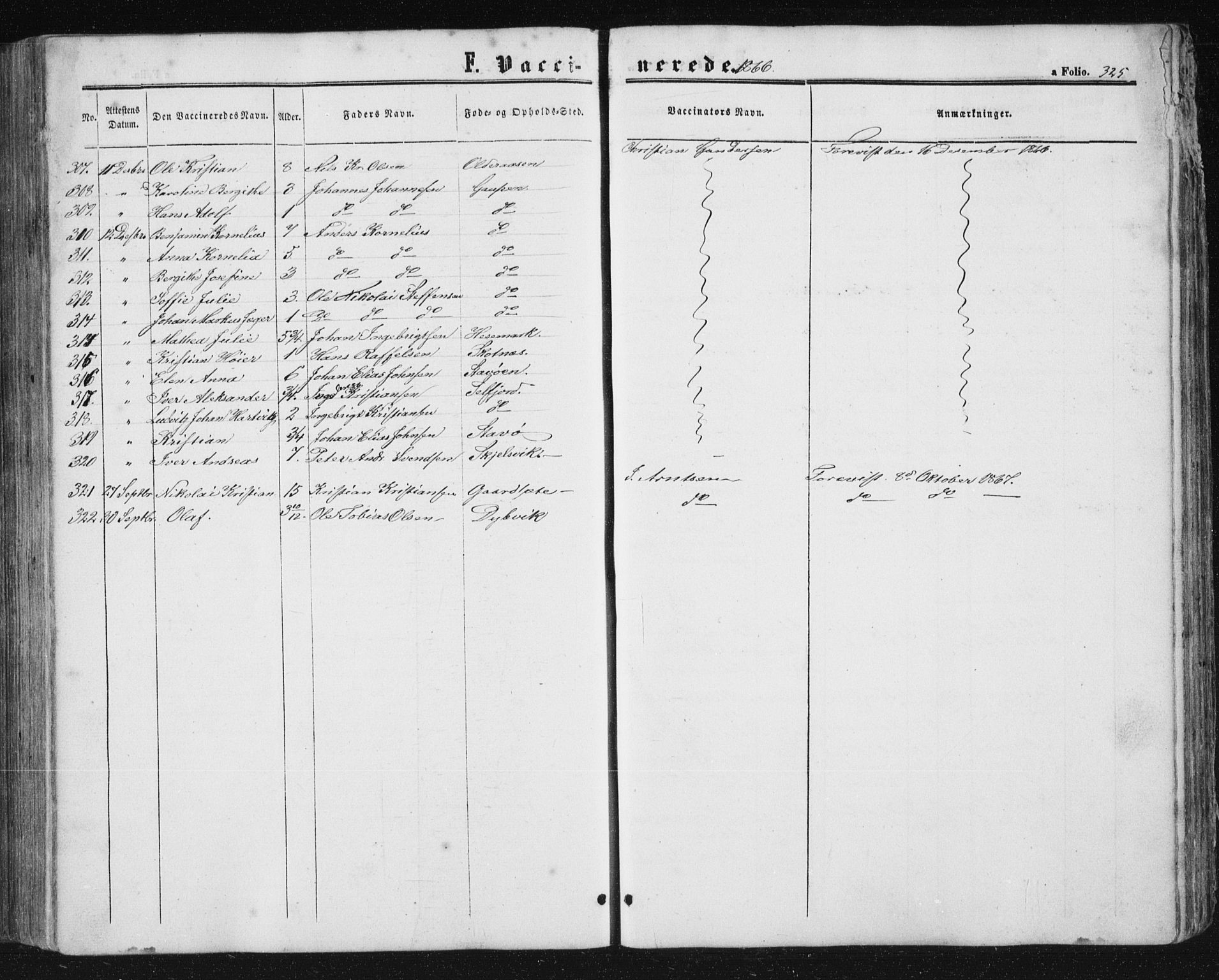 Ministerialprotokoller, klokkerbøker og fødselsregistre - Nordland, AV/SAT-A-1459/810/L0158: Parish register (copy) no. 810C02 /1, 1863-1883, p. 325