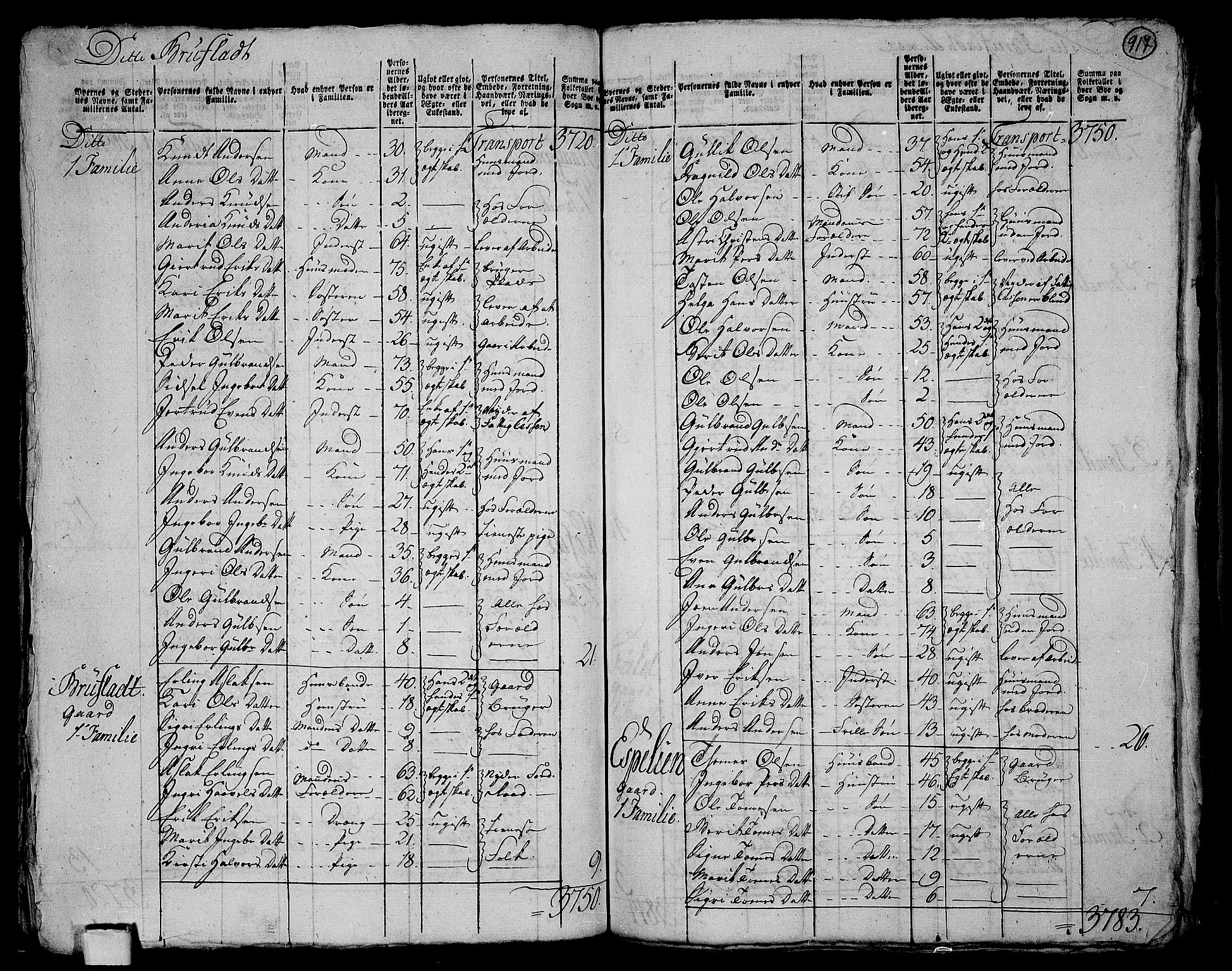 RA, 1801 census for 0542P Aurdal, 1801, p. 916b-917a