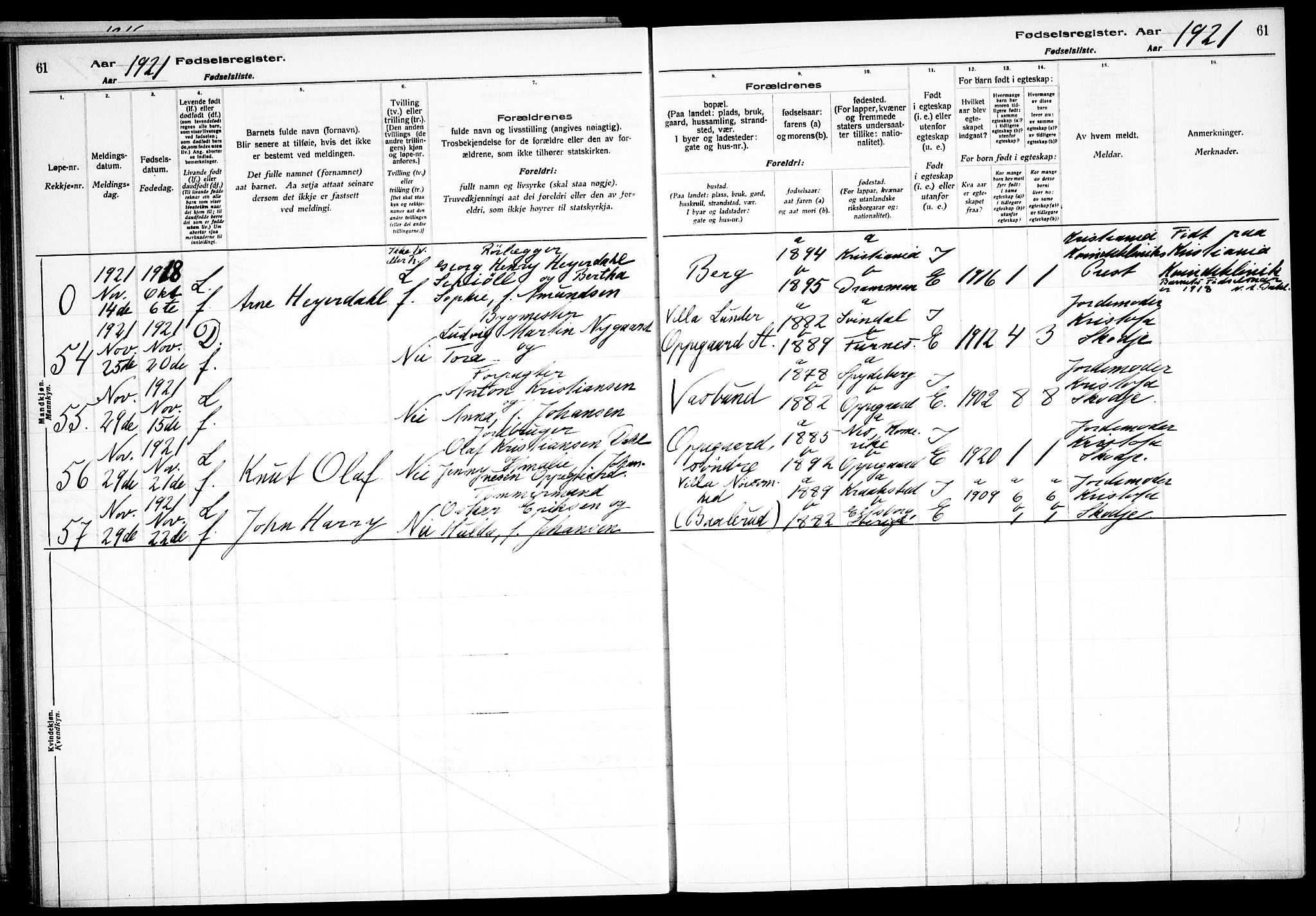 Nesodden prestekontor Kirkebøker, SAO/A-10013/J/Jb/L0001: Birth register no. II 1, 1916-1933, p. 61