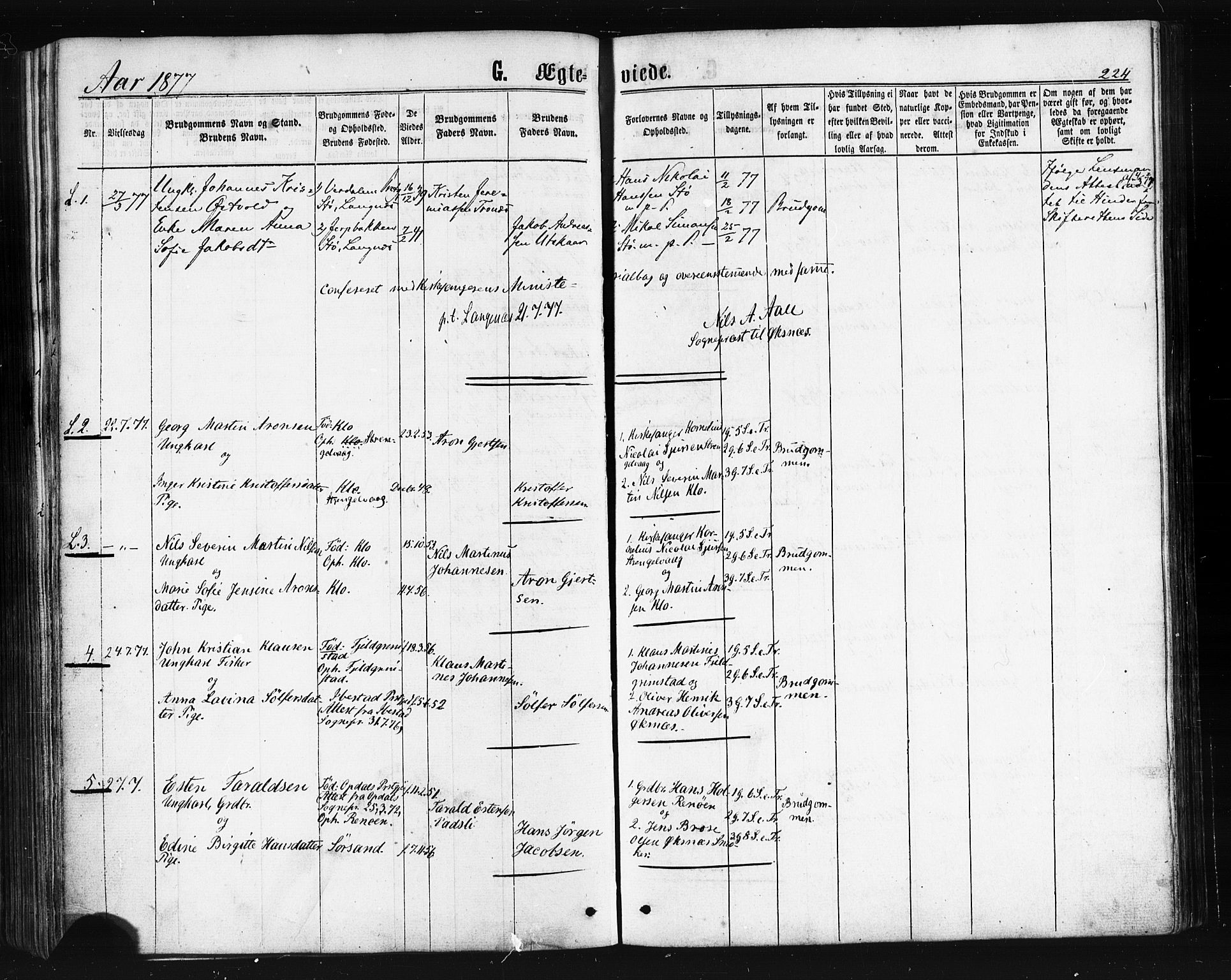 Ministerialprotokoller, klokkerbøker og fødselsregistre - Nordland, SAT/A-1459/893/L1334: Parish register (official) no. 893A07, 1867-1877, p. 224