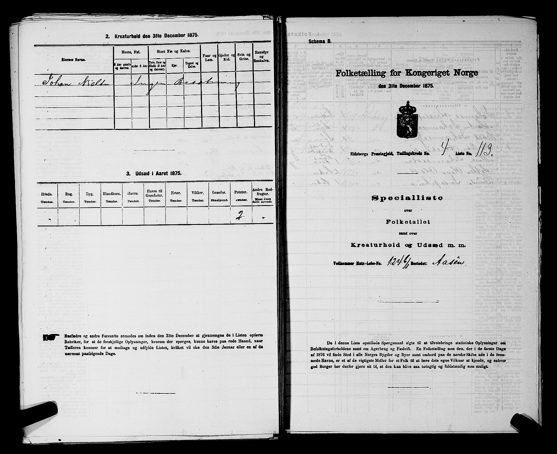 RA, 1875 census for 0125P Eidsberg, 1875, p. 887