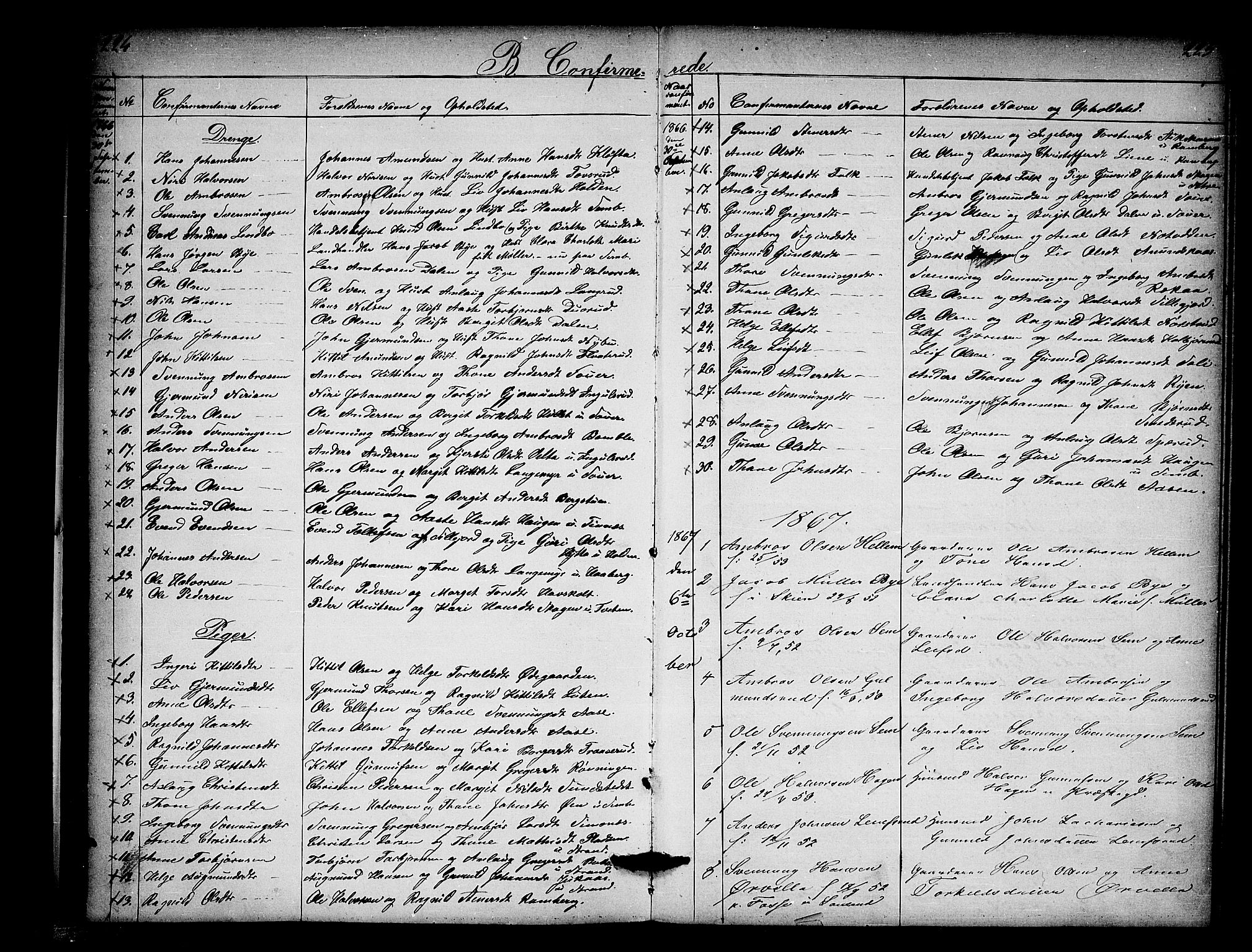 Heddal kirkebøker, SAKO/A-268/G/Ga/L0001: Parish register (copy) no. I 1, 1866-1878, p. 224-225