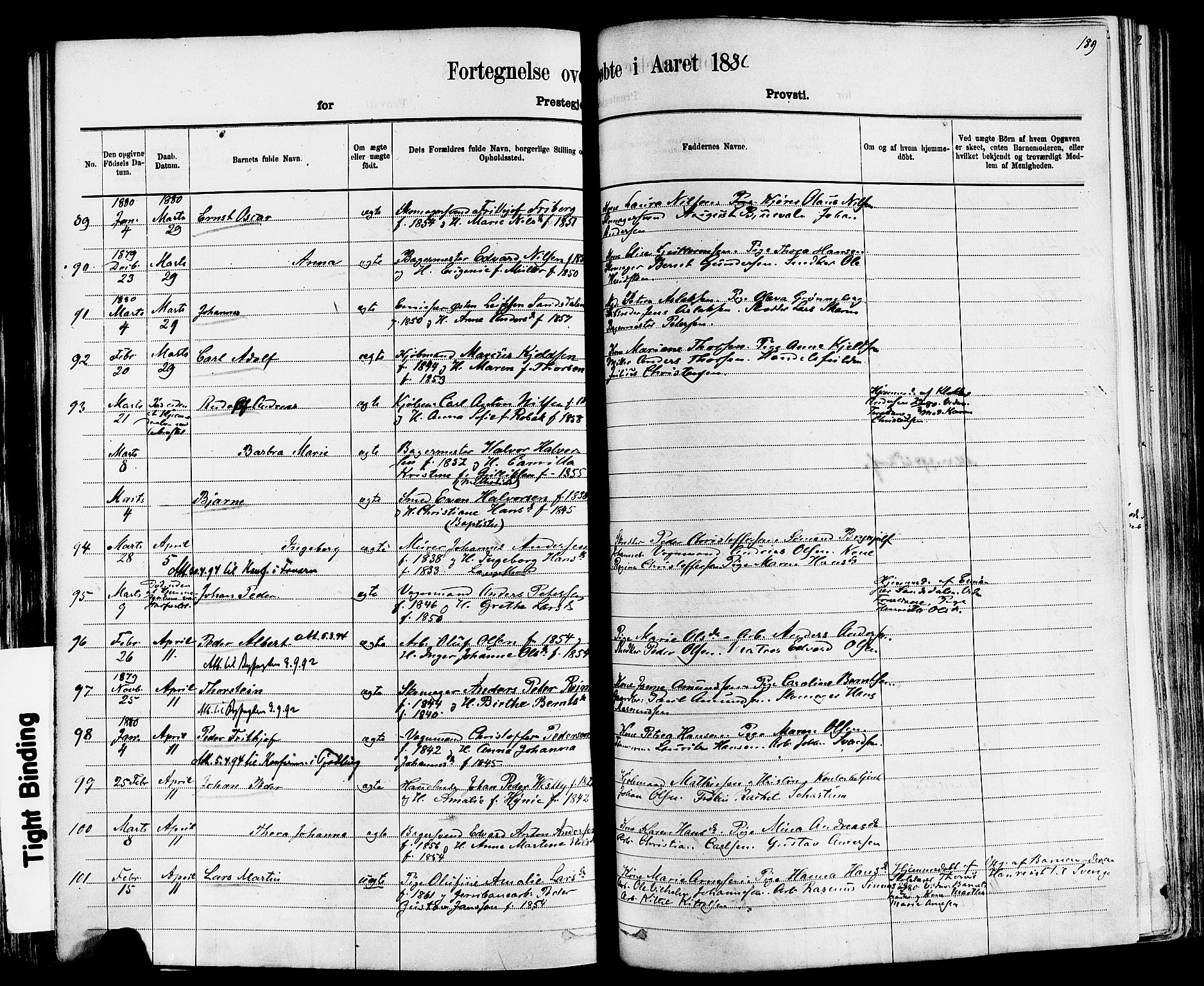 Larvik kirkebøker, AV/SAKO-A-352/F/Fa/L0006: Parish register (official) no. I 6, 1871-1883, p. 189