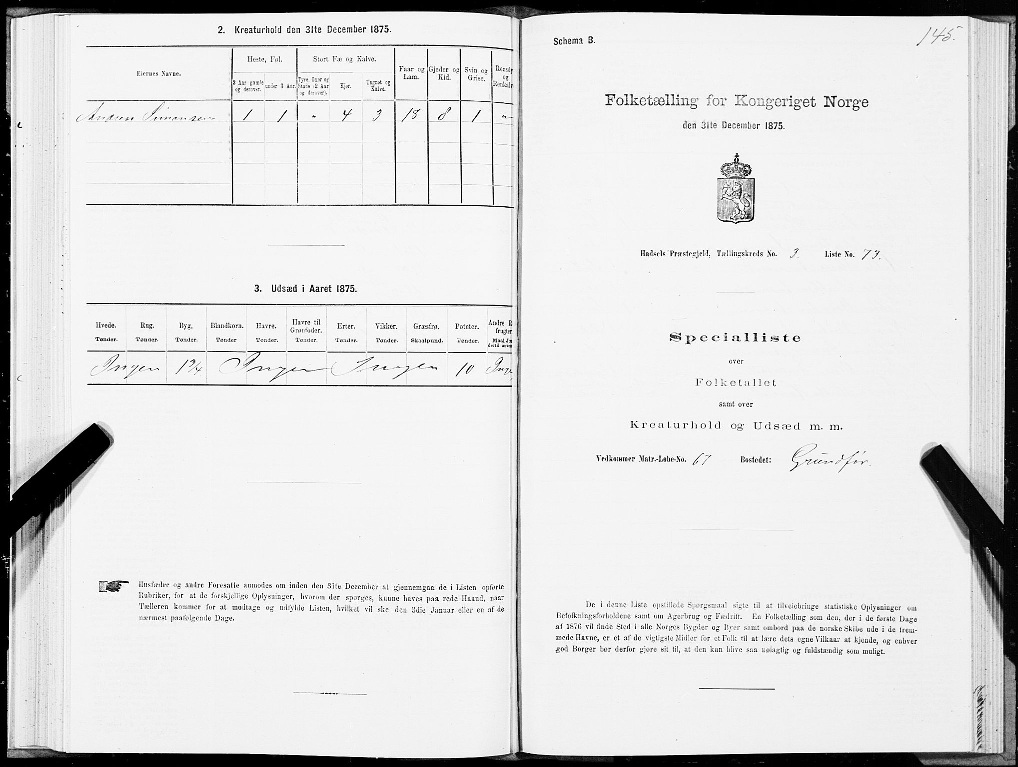 SAT, 1875 census for 1866P Hadsel, 1875, p. 2145