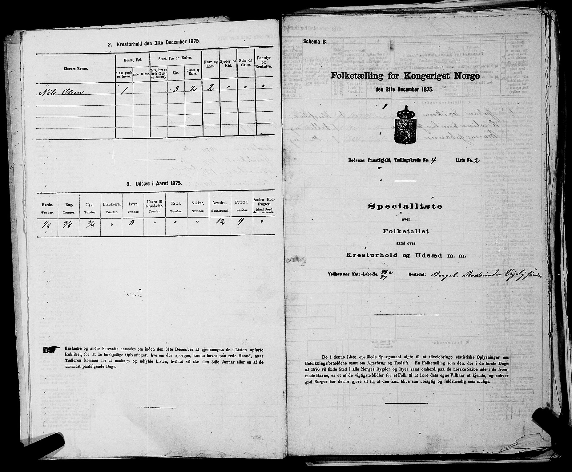 RA, 1875 census for 0120P Rødenes, 1875, p. 508