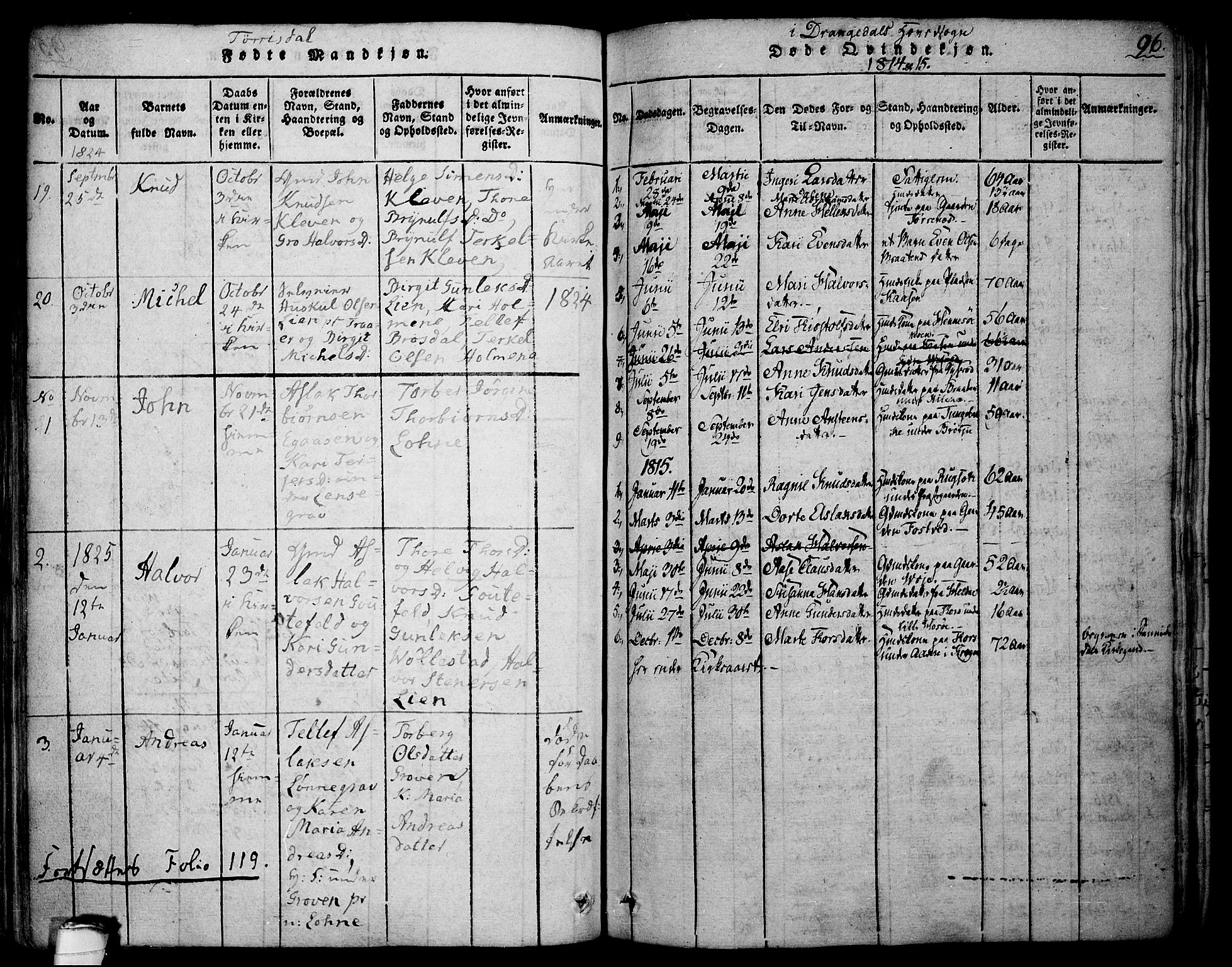 Drangedal kirkebøker, AV/SAKO-A-258/F/Fa/L0005: Parish register (official) no. 5 /1, 1814-1831, p. 96