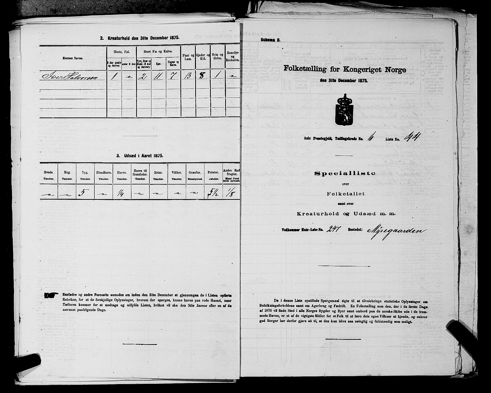 SAKO, 1875 census for 0619P Ål, 1875, p. 828
