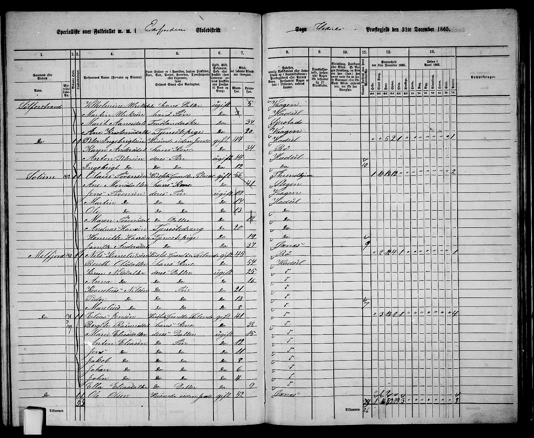 RA, 1865 census for Hadsel, 1865, p. 125