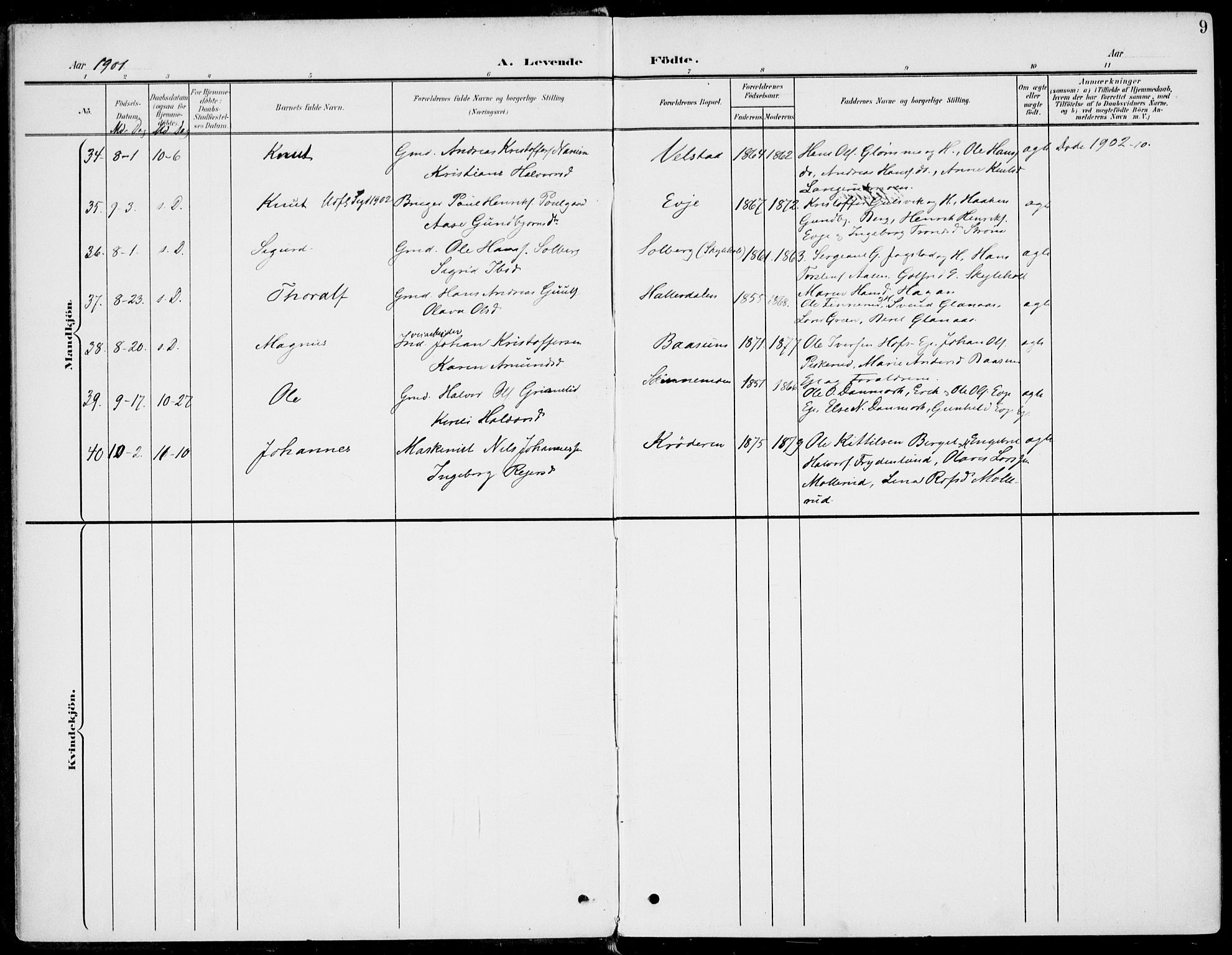 Sigdal kirkebøker, AV/SAKO-A-245/F/Fb/L0002: Parish register (official) no. II 2, 1901-1914, p. 9