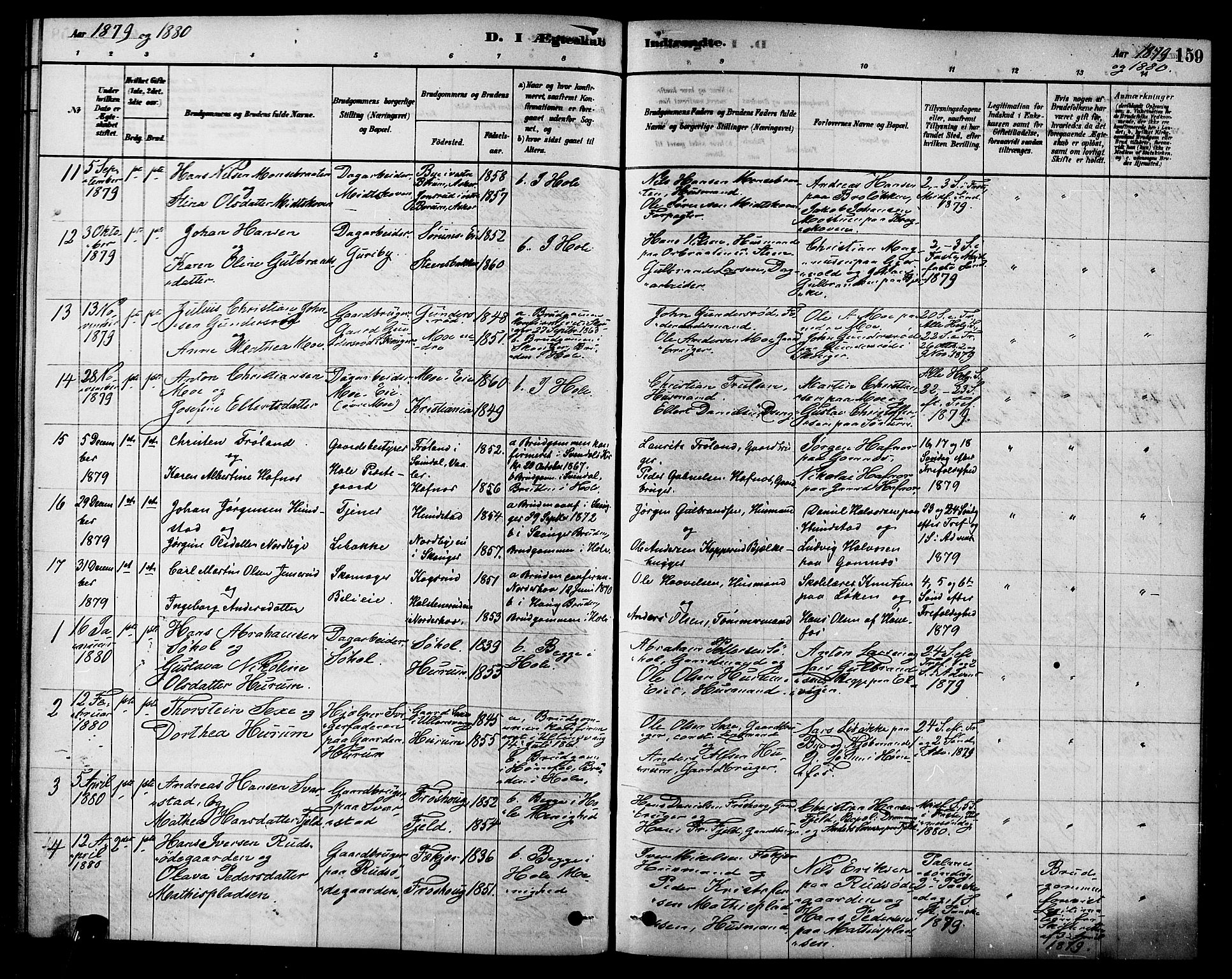 Hole kirkebøker, SAKO/A-228/F/Fa/L0008: Parish register (official) no. I 8, 1878-1891, p. 159