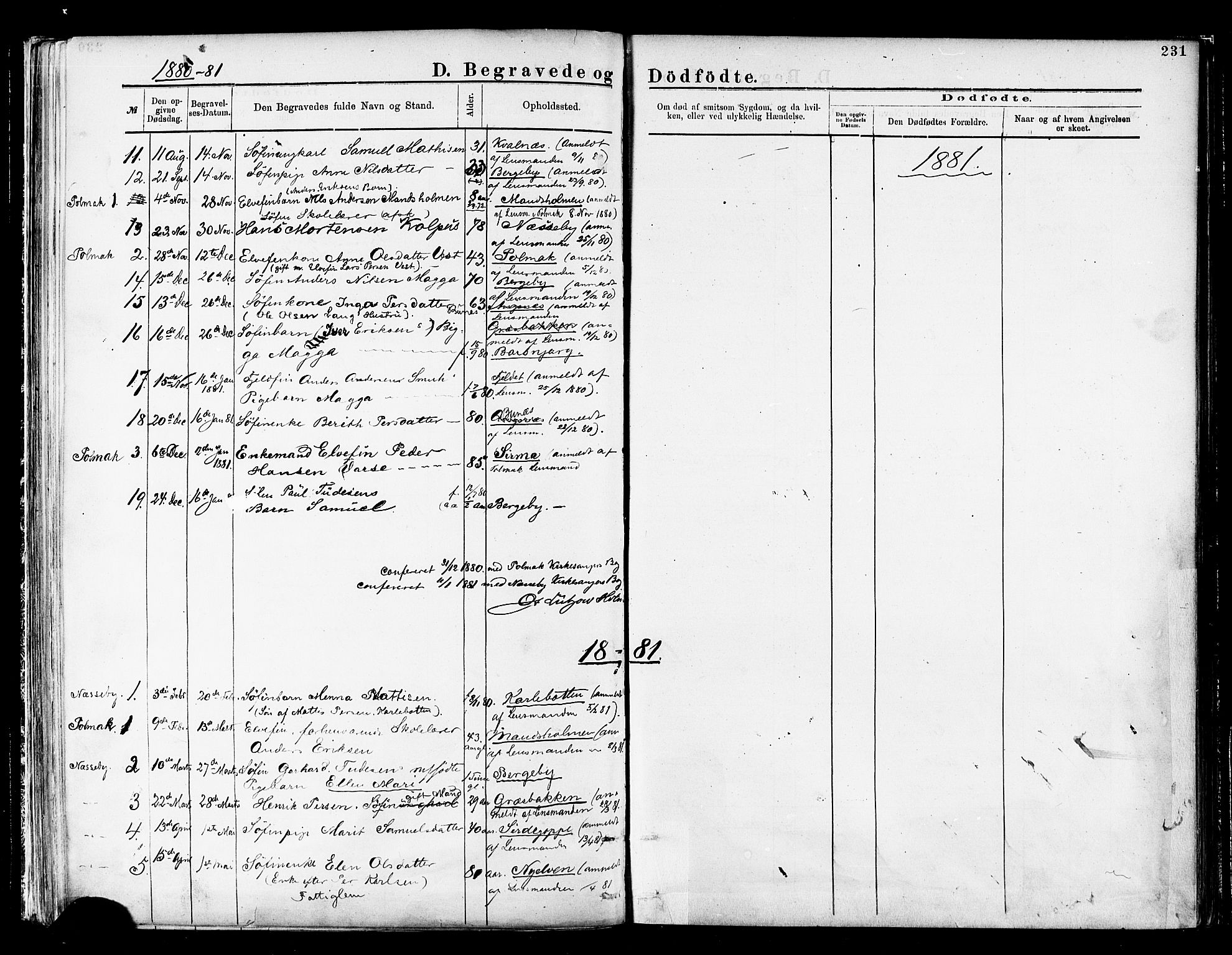 Nesseby sokneprestkontor, SATØ/S-1330/H/Ha/L0004kirke: Parish register (official) no. 4, 1877-1884, p. 231