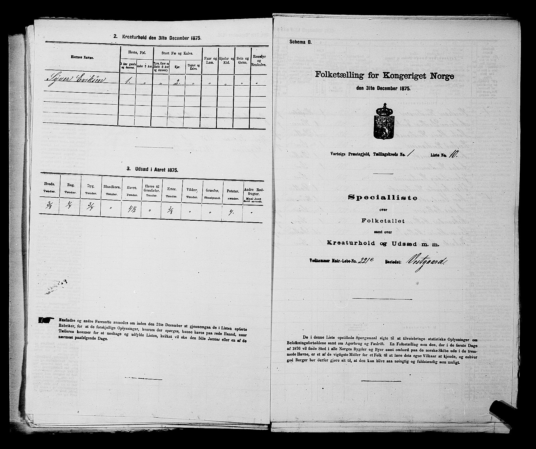RA, 1875 census for 0114P Varteig, 1875, p. 36
