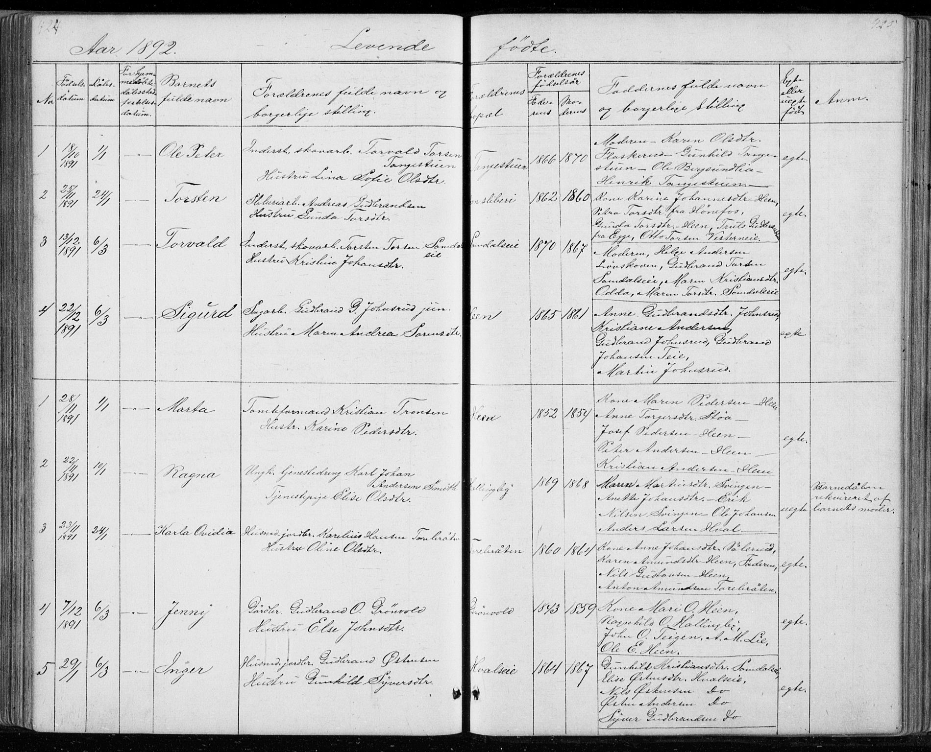 Ådal kirkebøker, SAKO/A-248/G/Gc/L0001: Parish register (copy) no. III 1, 1862-1898, p. 424-425
