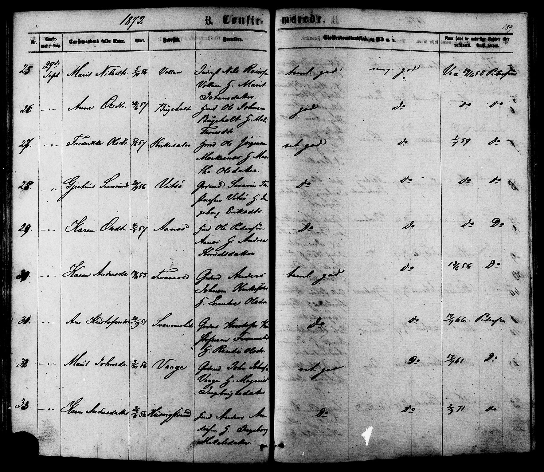Ministerialprotokoller, klokkerbøker og fødselsregistre - Sør-Trøndelag, SAT/A-1456/630/L0495: Parish register (official) no. 630A08, 1868-1878, p. 189