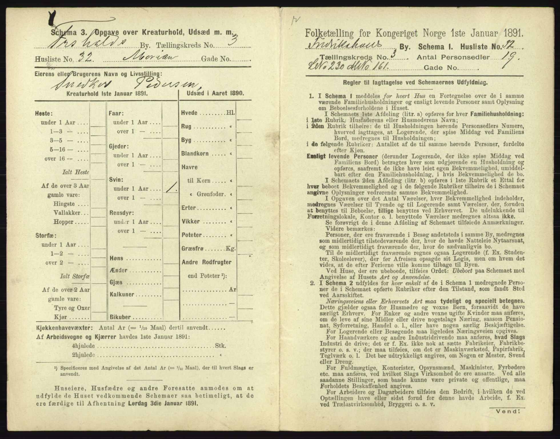 RA, 1891 census for 0101 Fredrikshald, 1891, p. 346