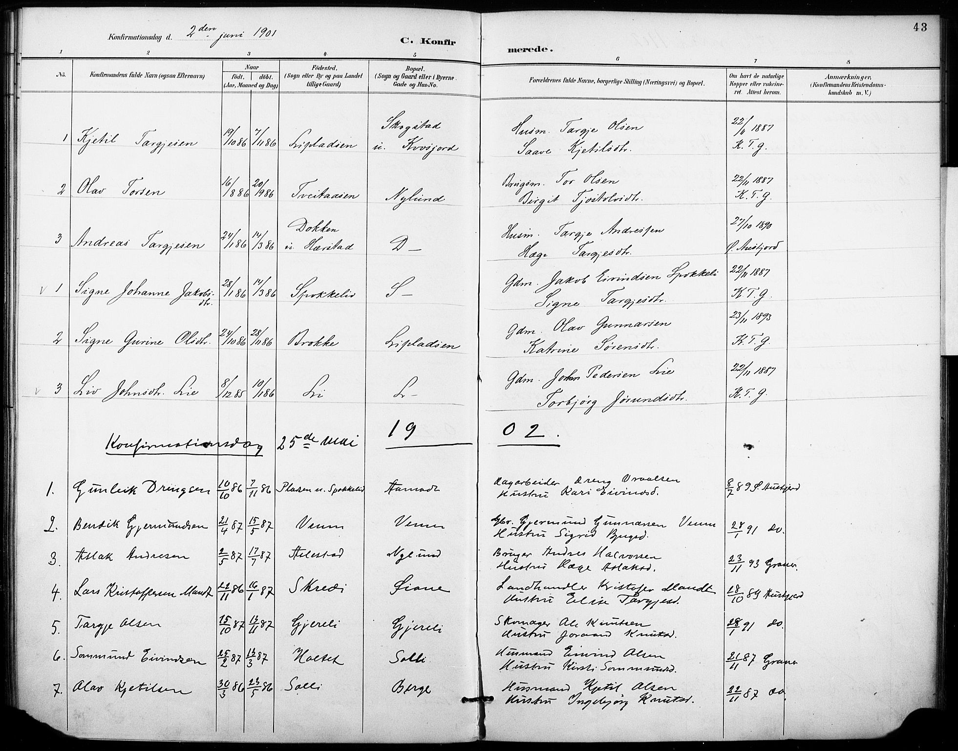 Fyresdal kirkebøker, SAKO/A-263/F/Fb/L0003: Parish register (official) no. II 3, 1887-1903, p. 43