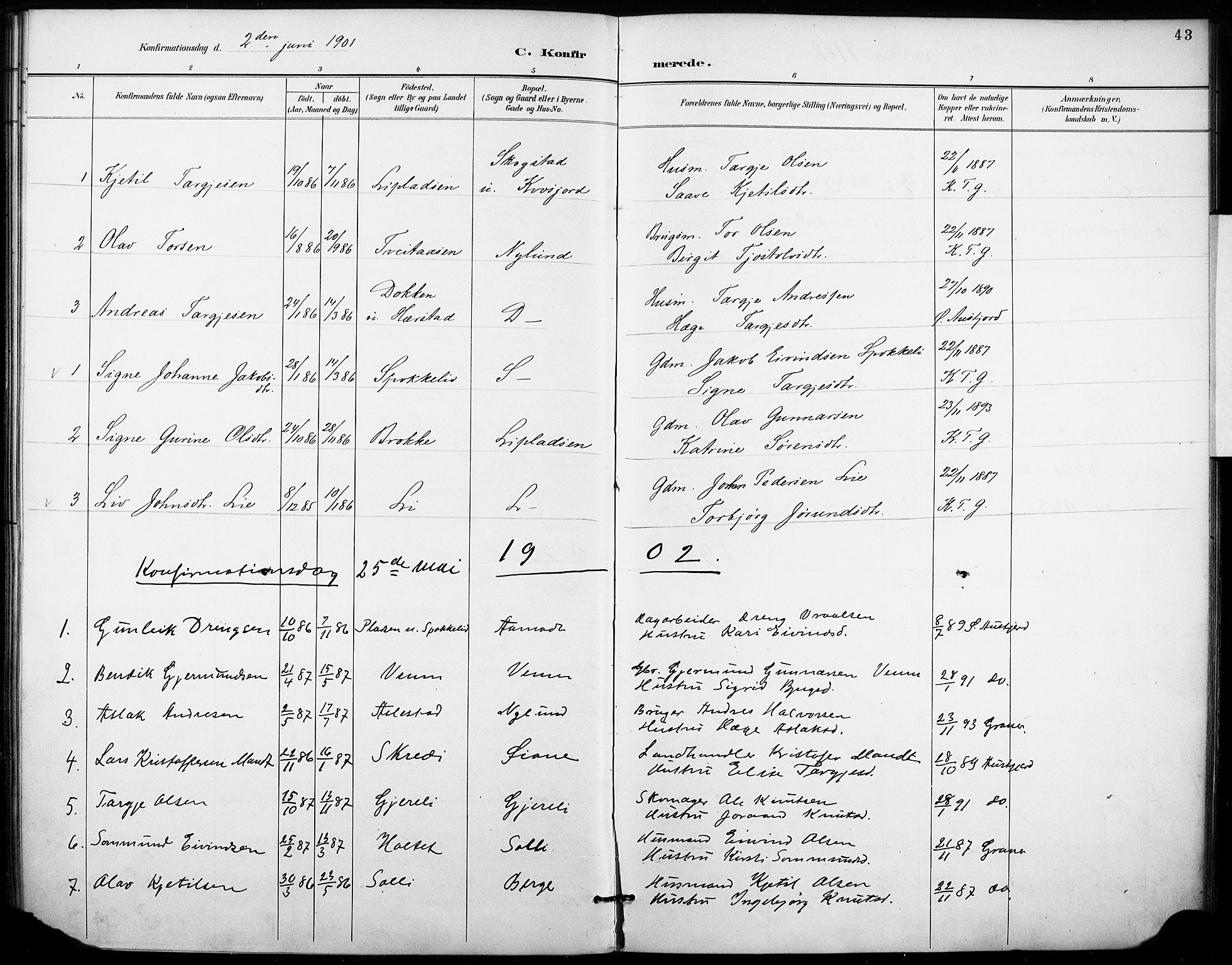 Fyresdal kirkebøker, AV/SAKO-A-263/F/Fb/L0003: Parish register (official) no. II 3, 1887-1903, p. 43