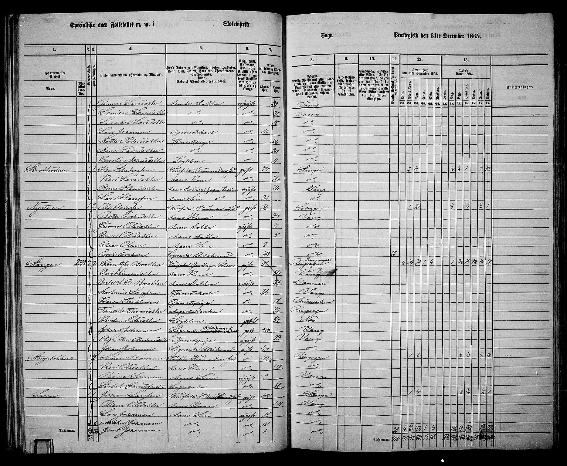 RA, 1865 census for Vang/Vang og Furnes, 1865, p. 206